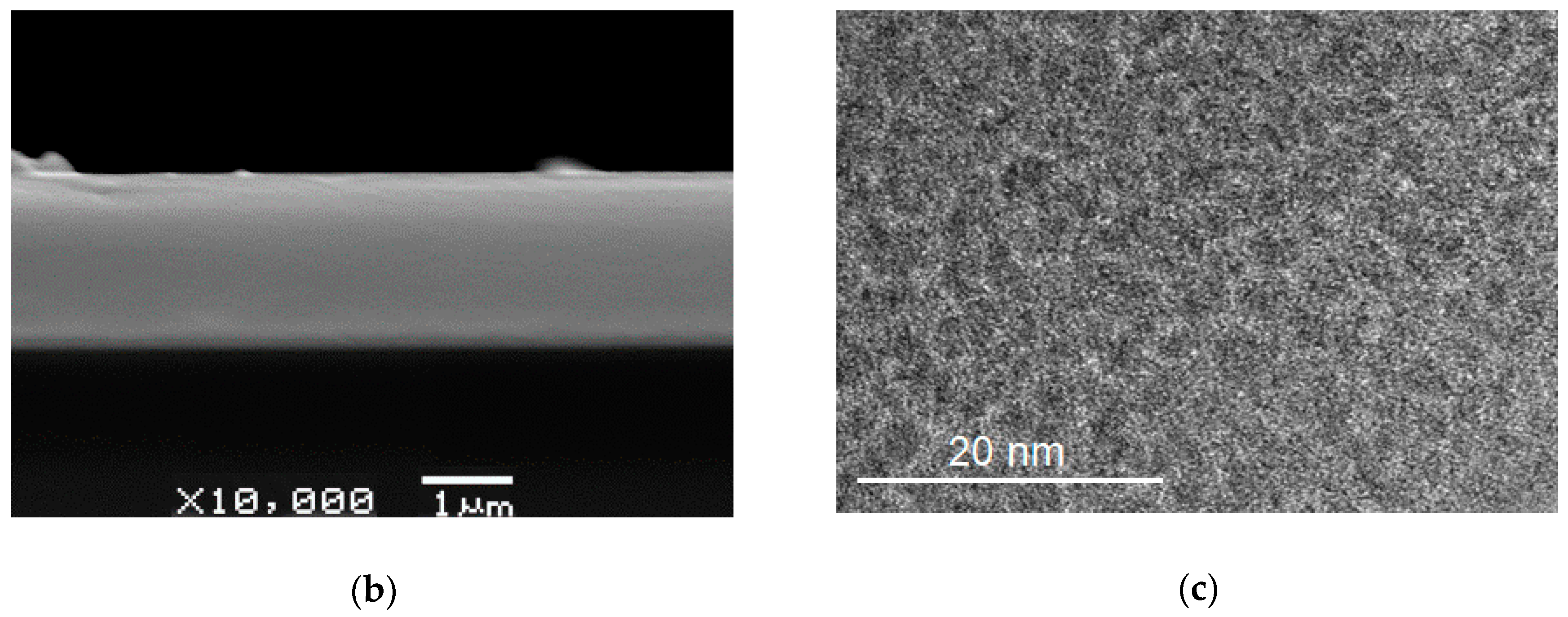 Coatings 10 01121 g002b Coatings 10 01121 g002b