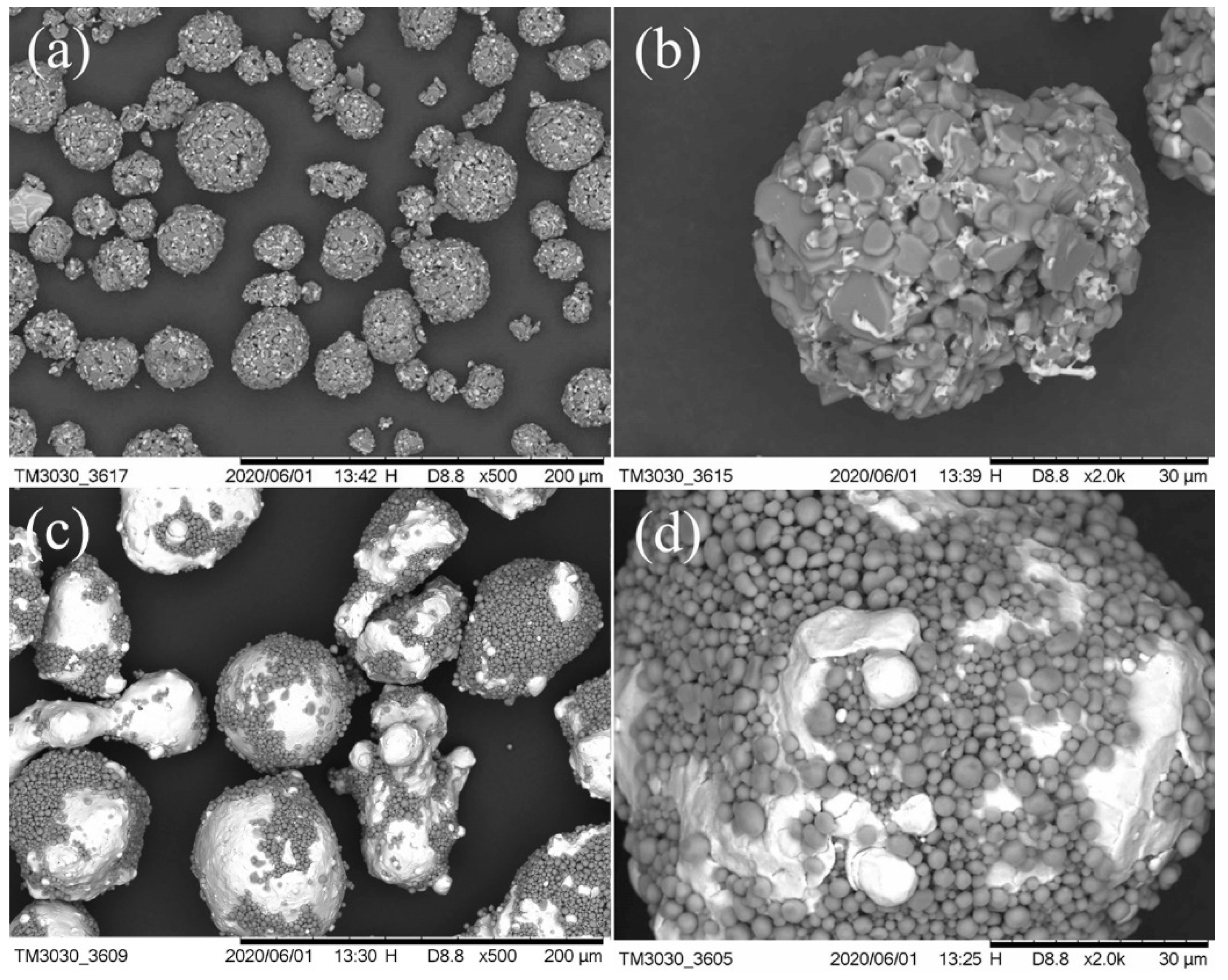 Coatings 10 01122 g001 Coatings 10 01122 g001