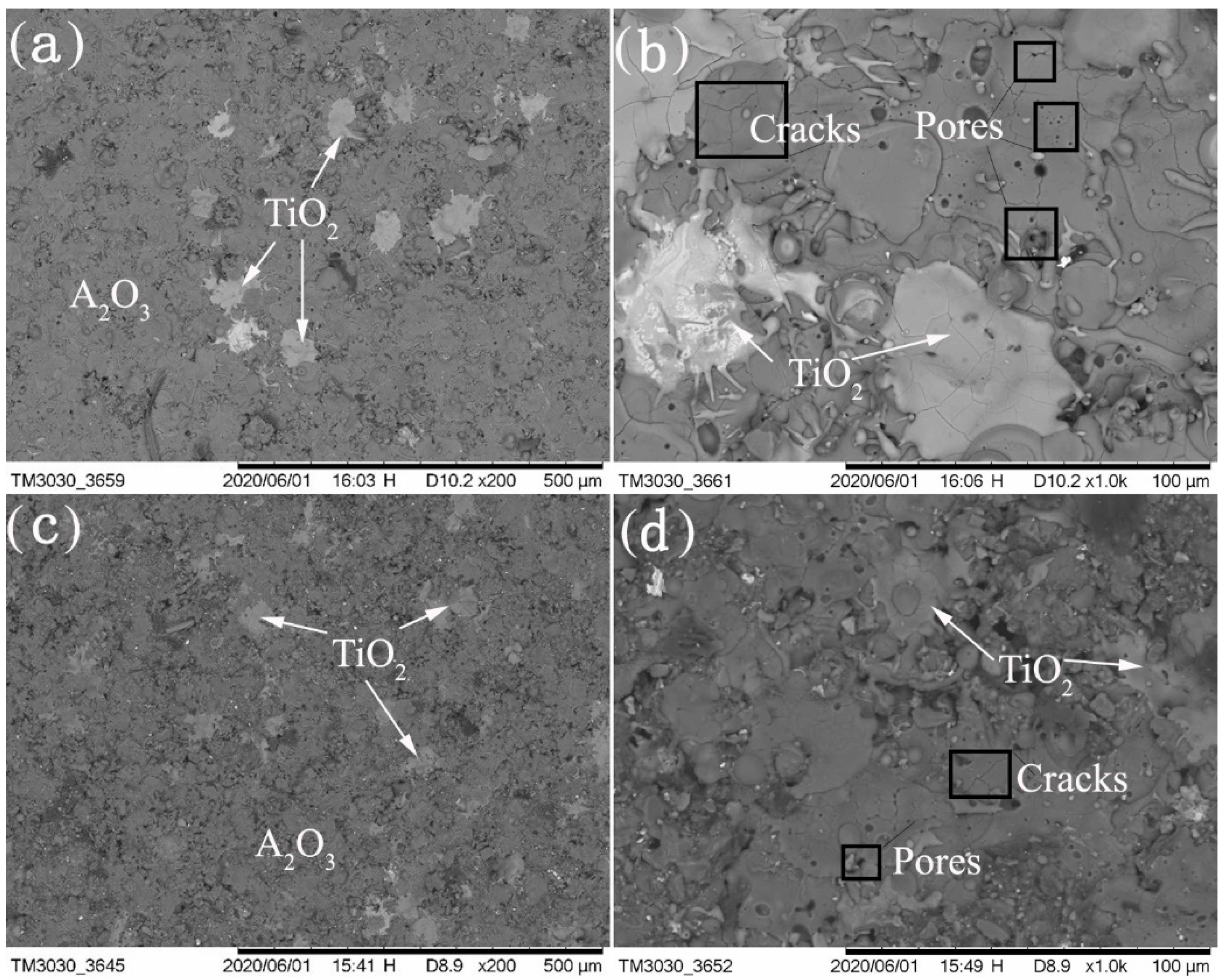 Coatings 10 01122 g004 Coatings 10 01122 g004