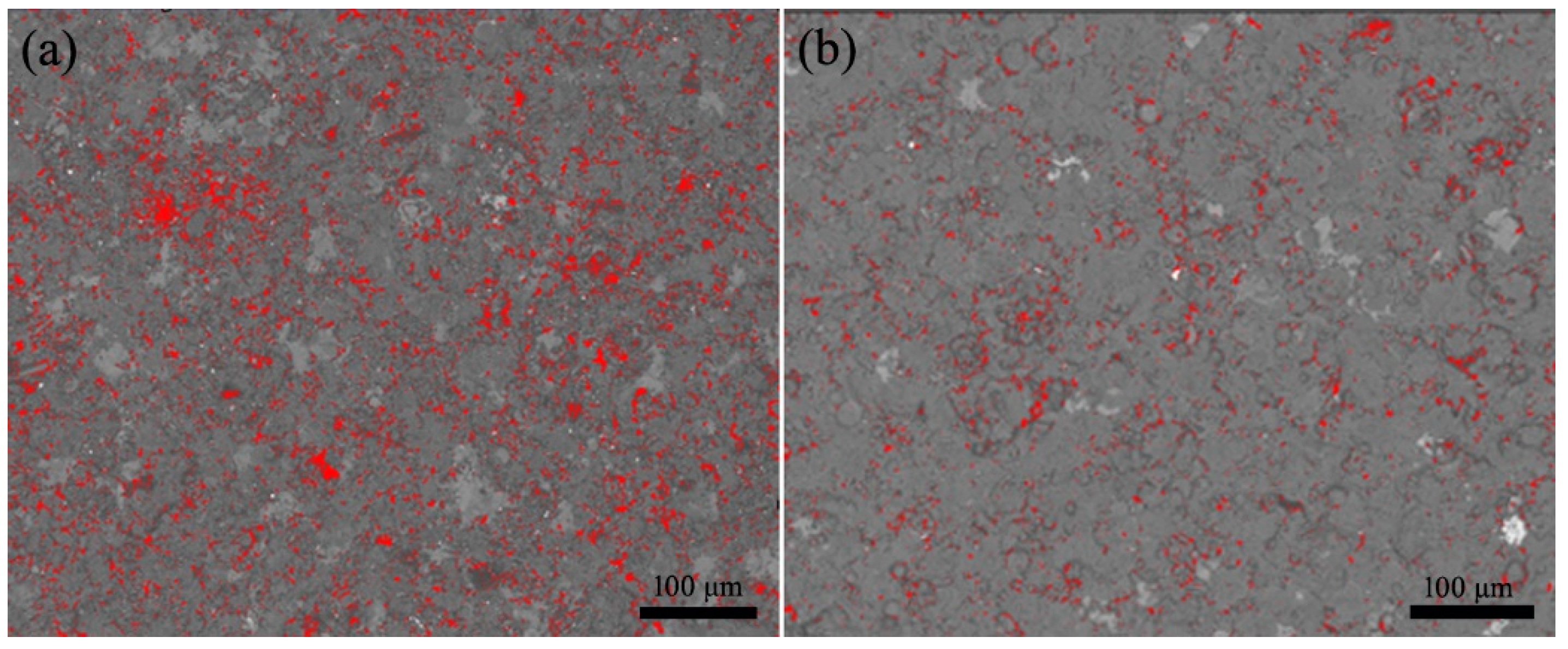 Coatings 10 01122 g005 Coatings 10 01122 g005