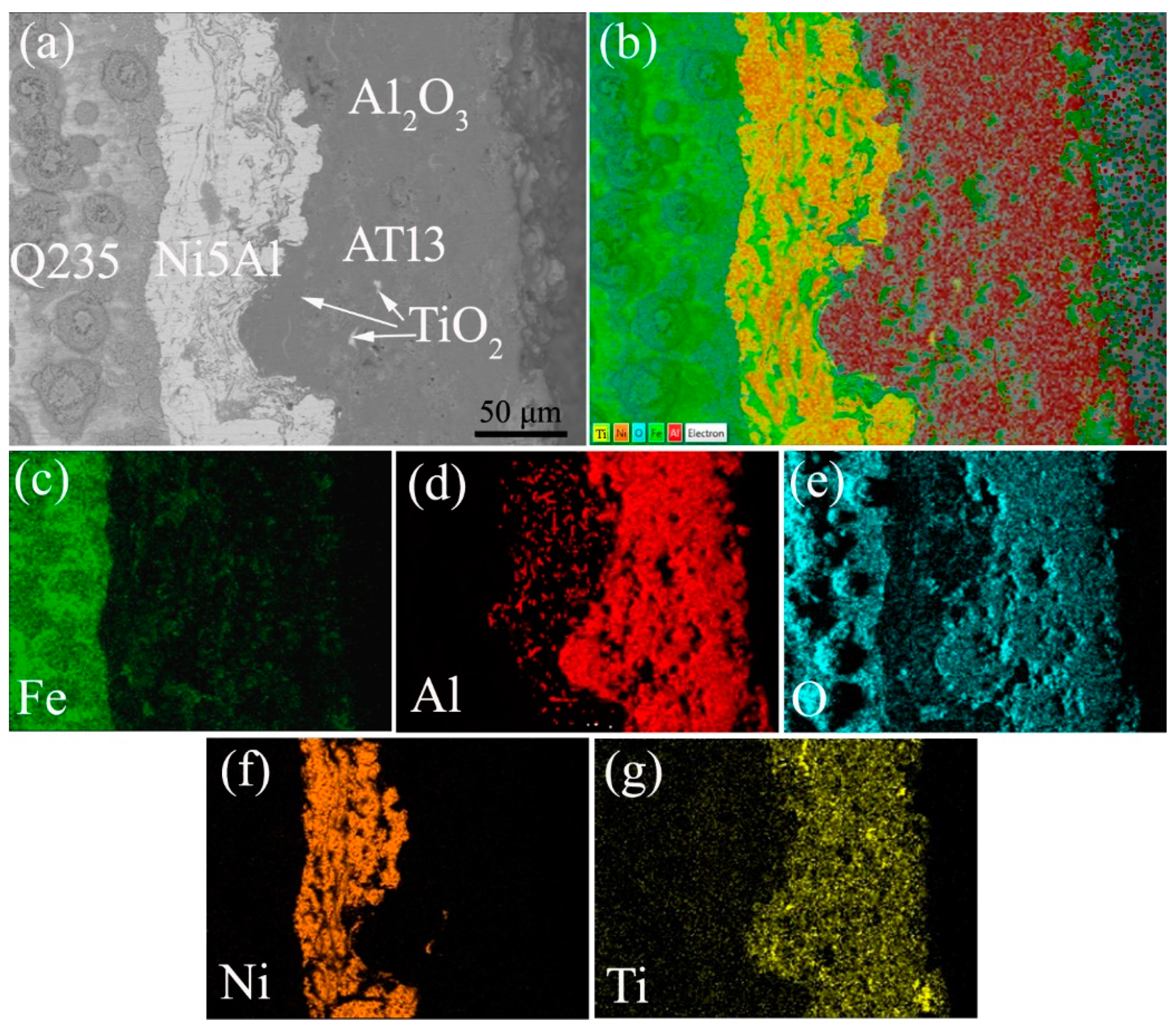 Coatings 10 01122 g006 Coatings 10 01122 g006