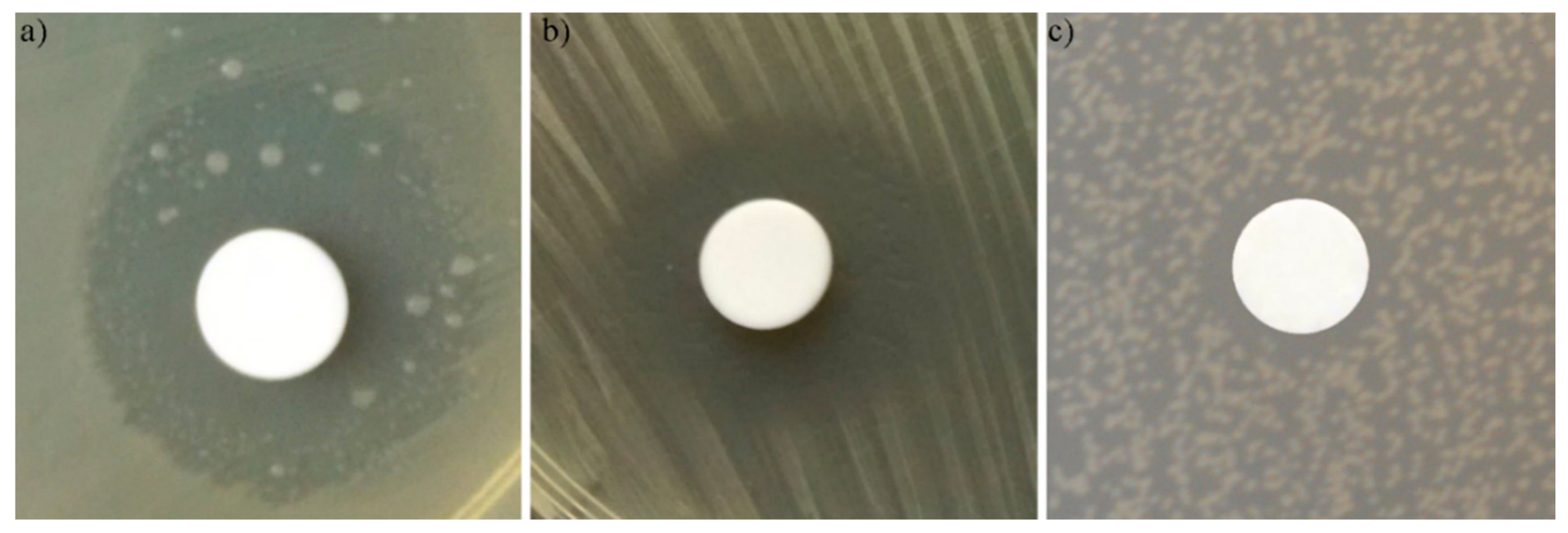 Coatings 10 01124 g011 Coatings 10 01124 g011
