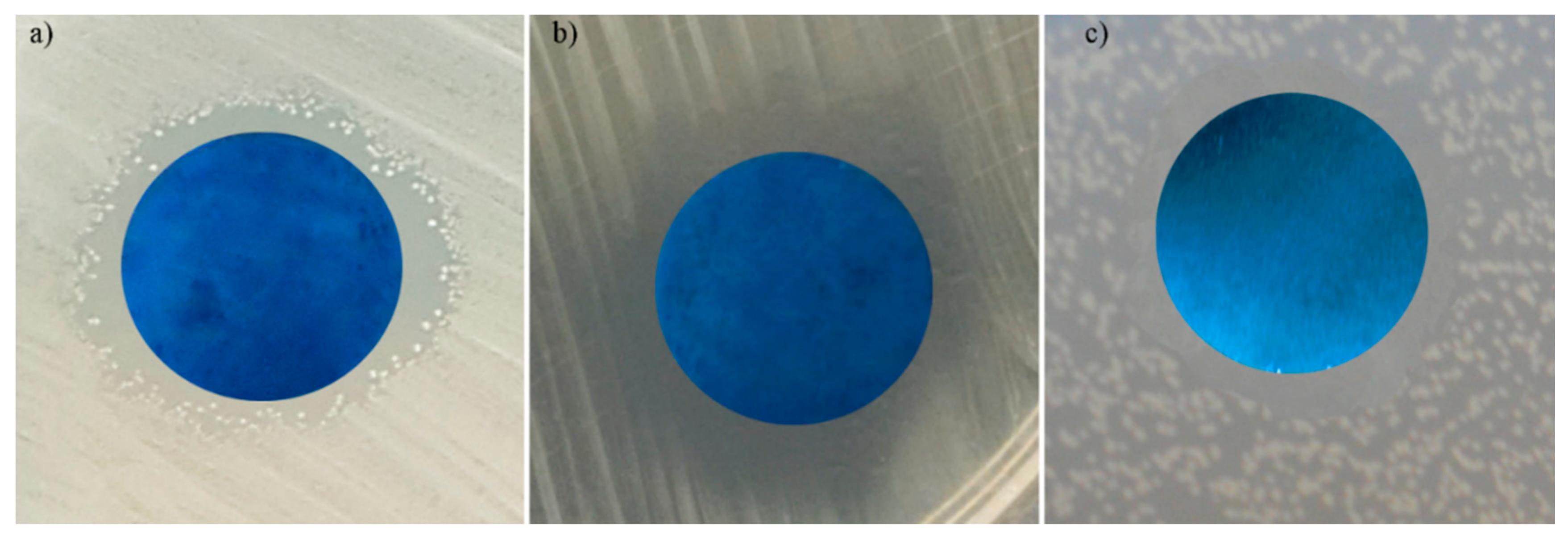 Coatings 10 01124 g012 Coatings 10 01124 g012