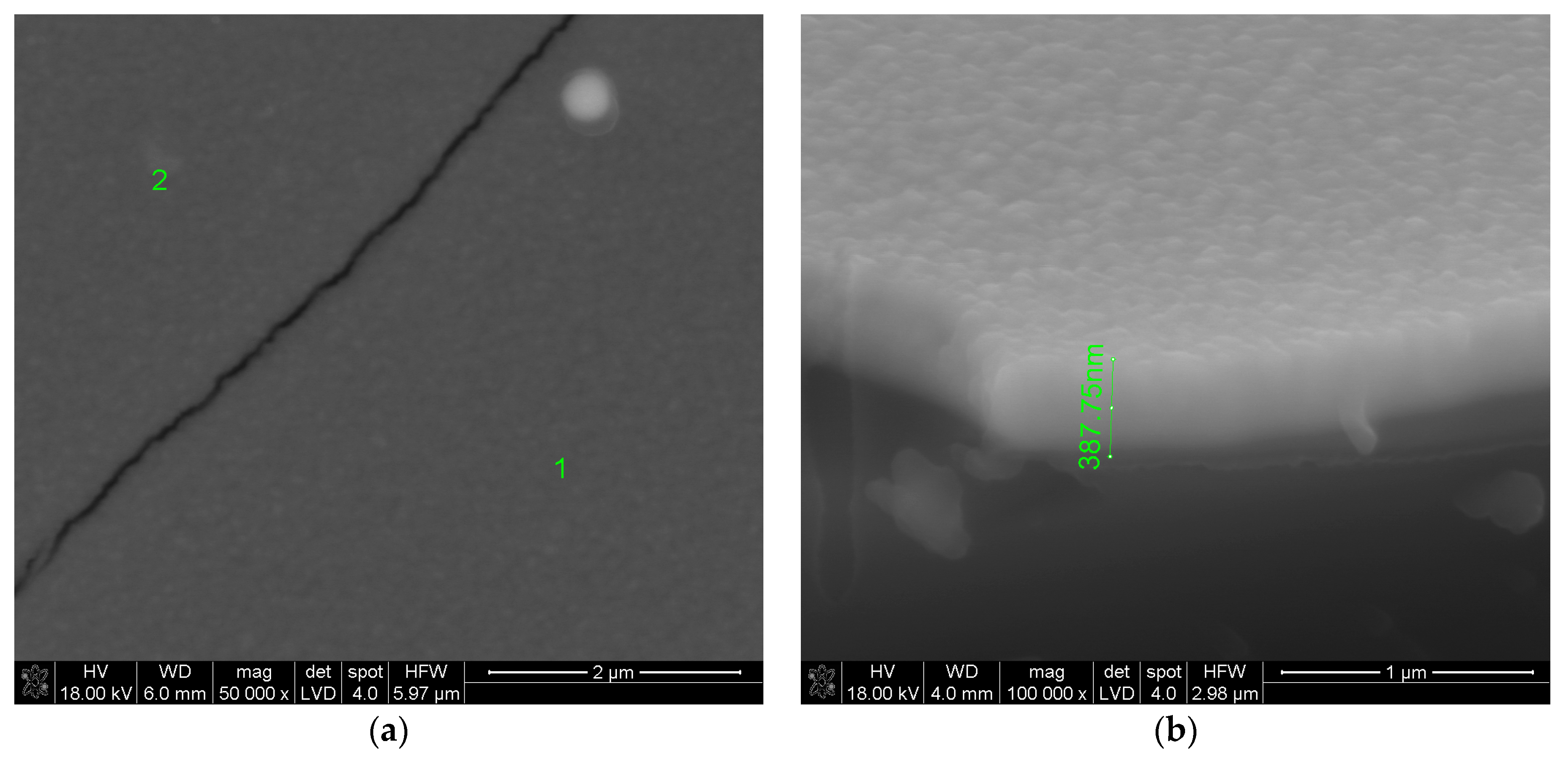 Coatings 10 01126 g006