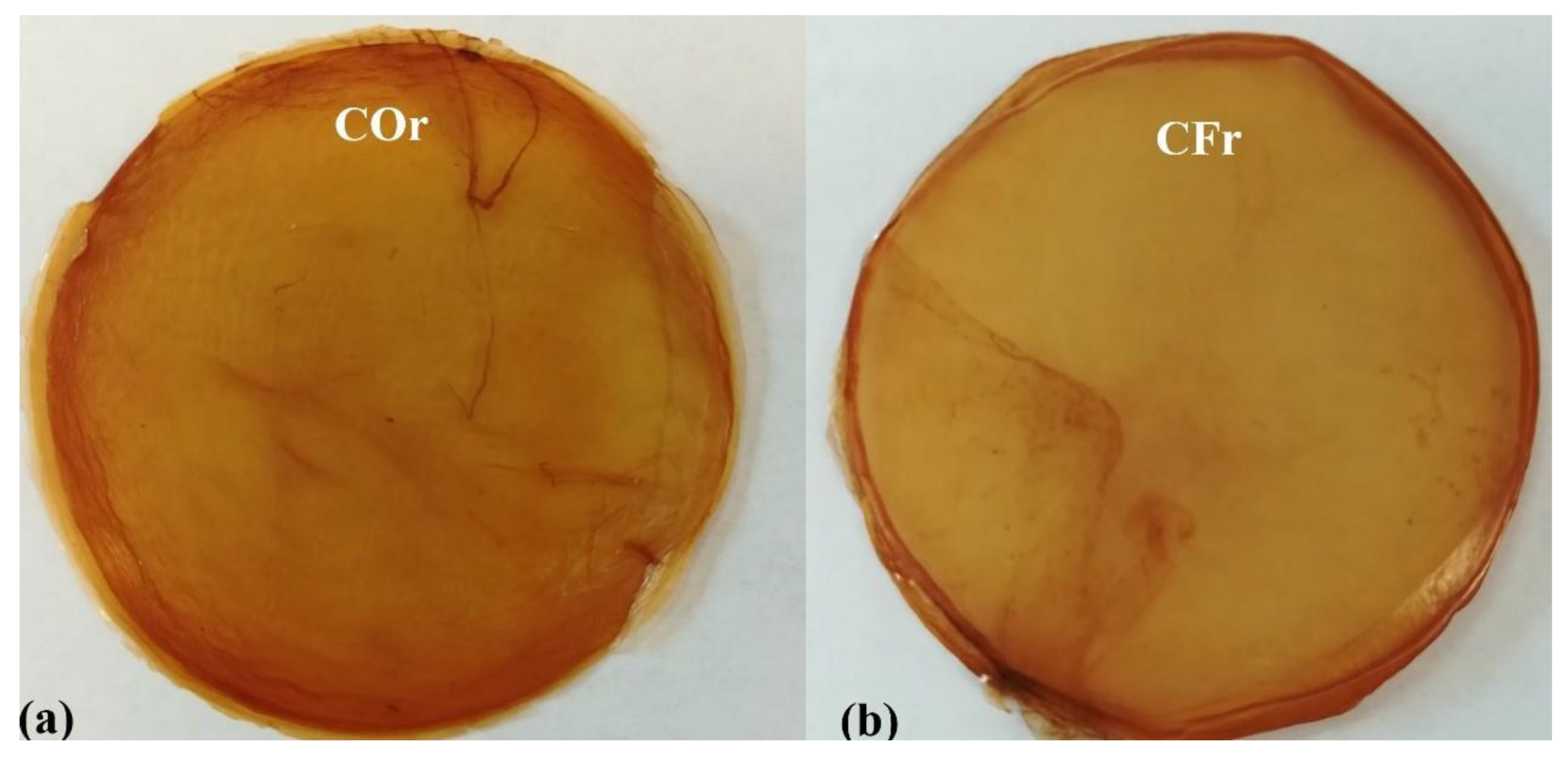 Coatings 10 01132 g004 Coatings 10 01132 g004