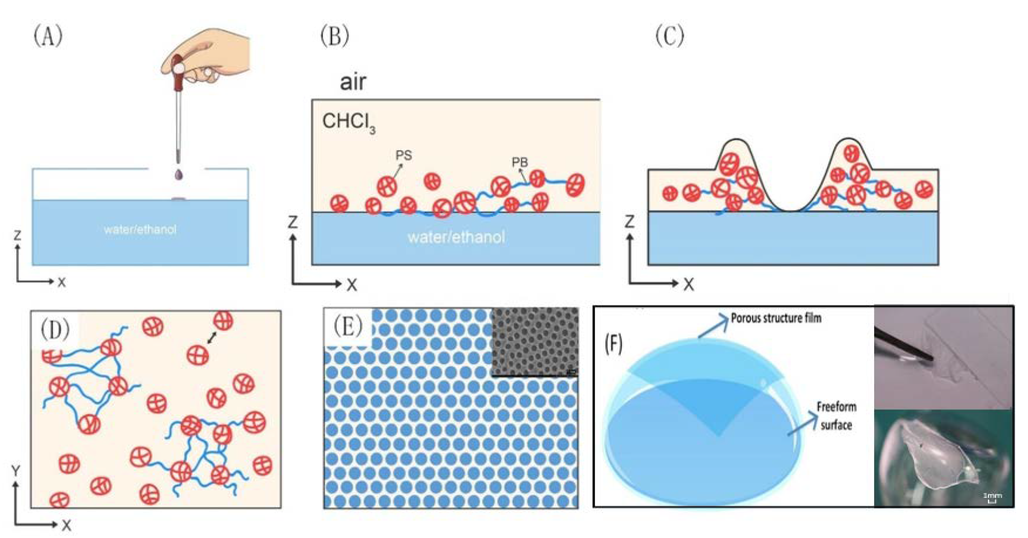Coatings 10 01133 g001 Coatings 10 01133 g001