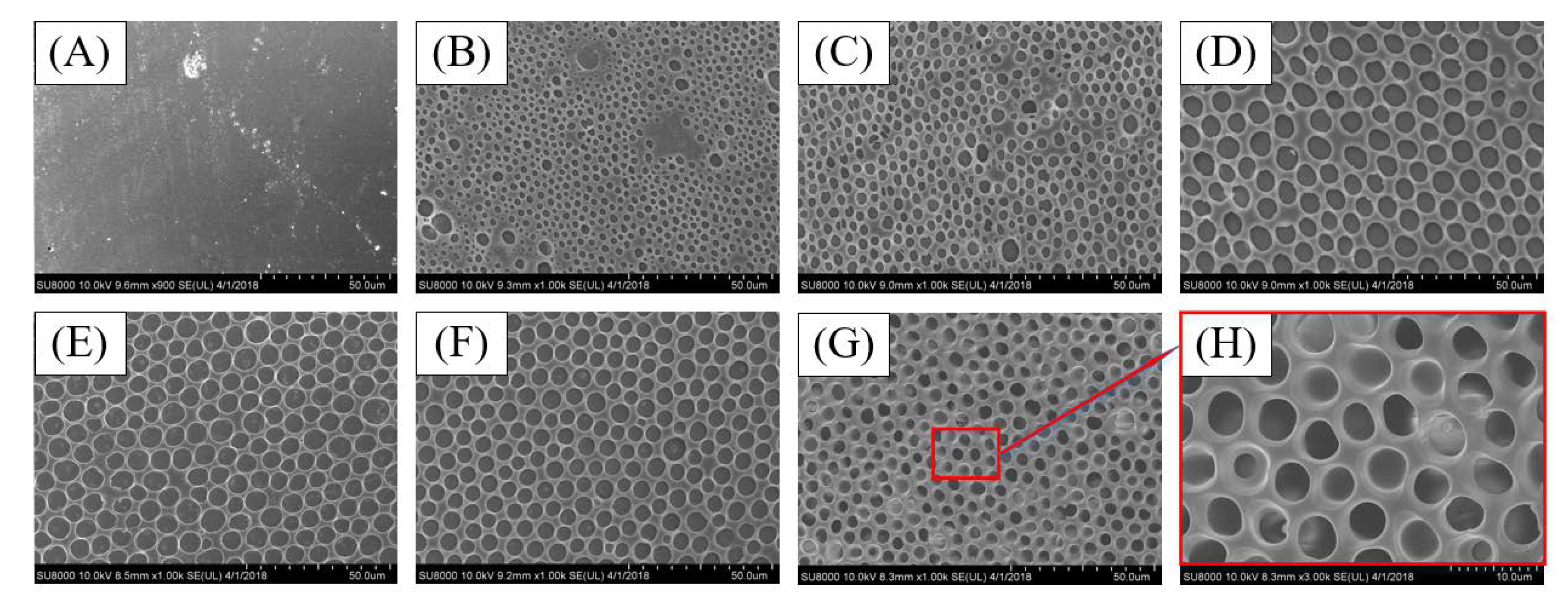 Coatings 10 01133 g002 Coatings 10 01133 g002
