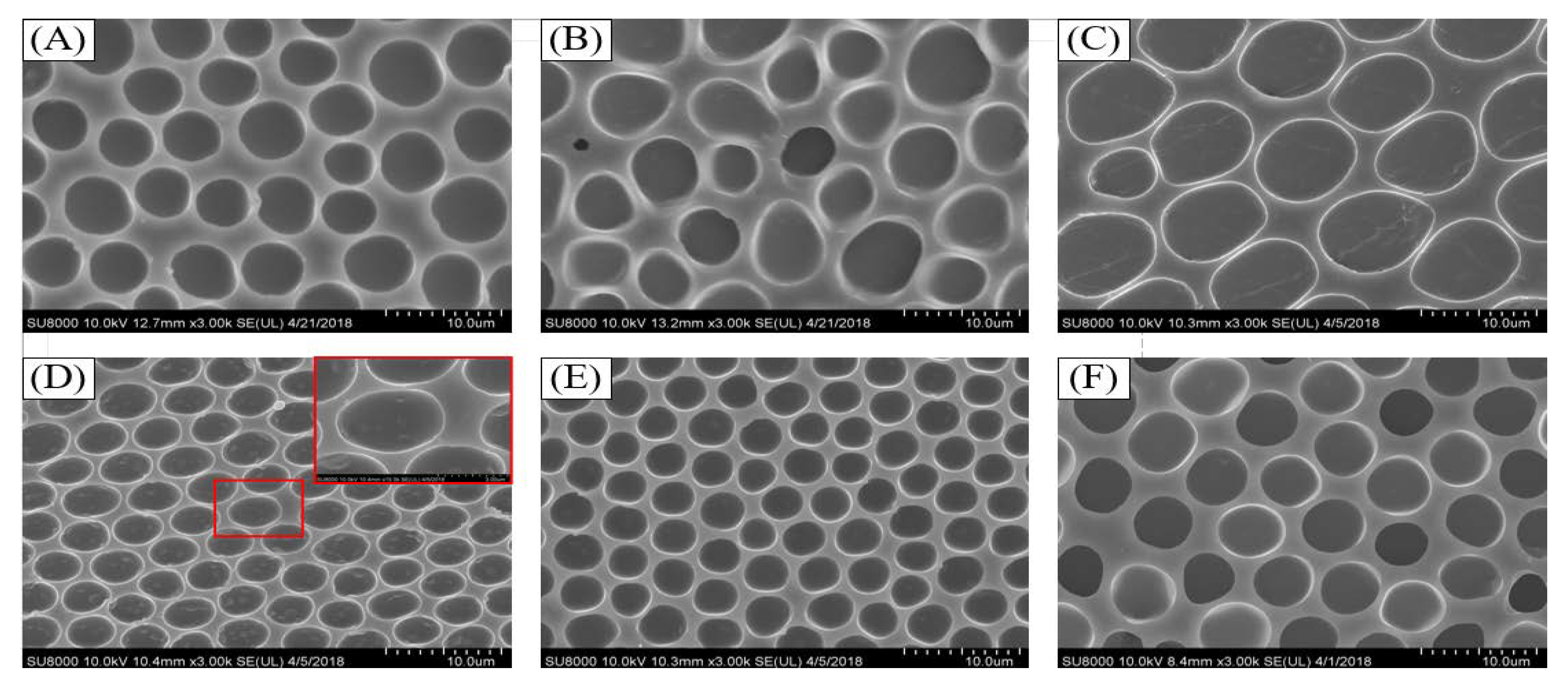 Coatings 10 01133 g004 Coatings 10 01133 g004