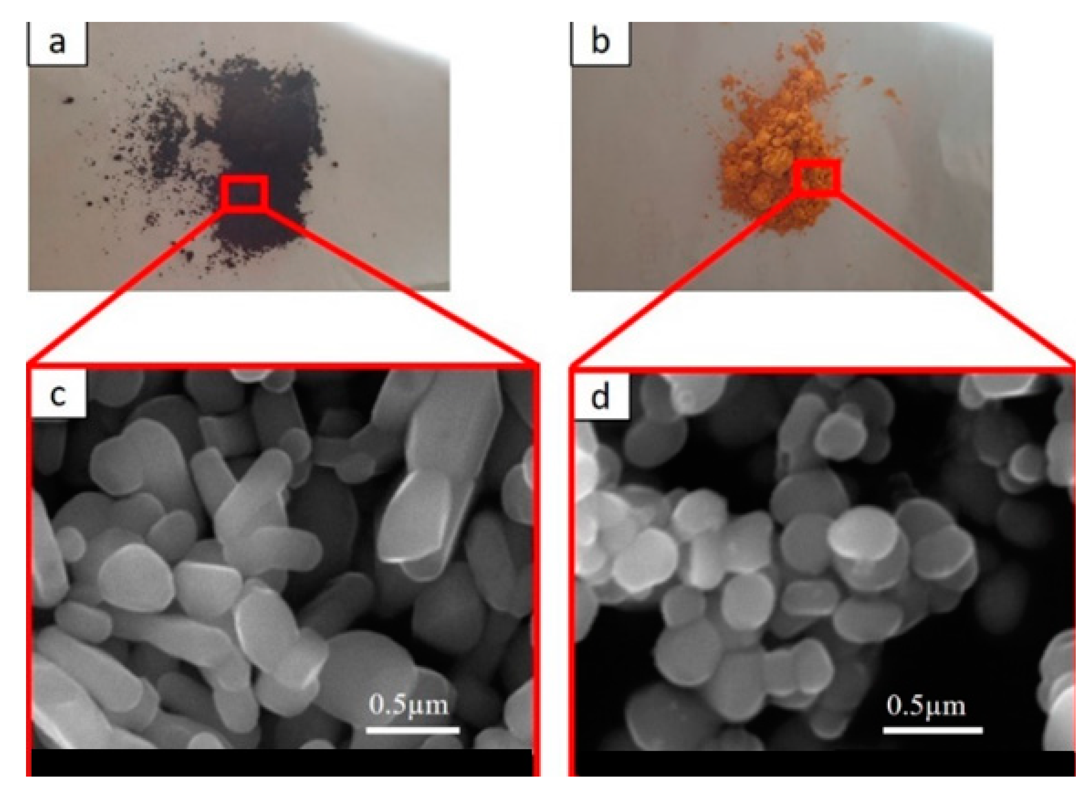 Coatings 10 01135 g001 Coatings 10 01135 g001