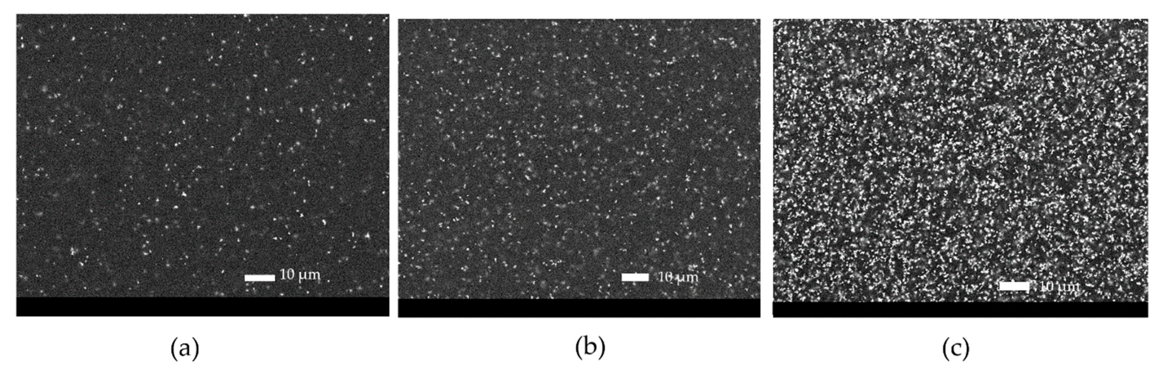Coatings 10 01135 g010 Coatings 10 01135 g010