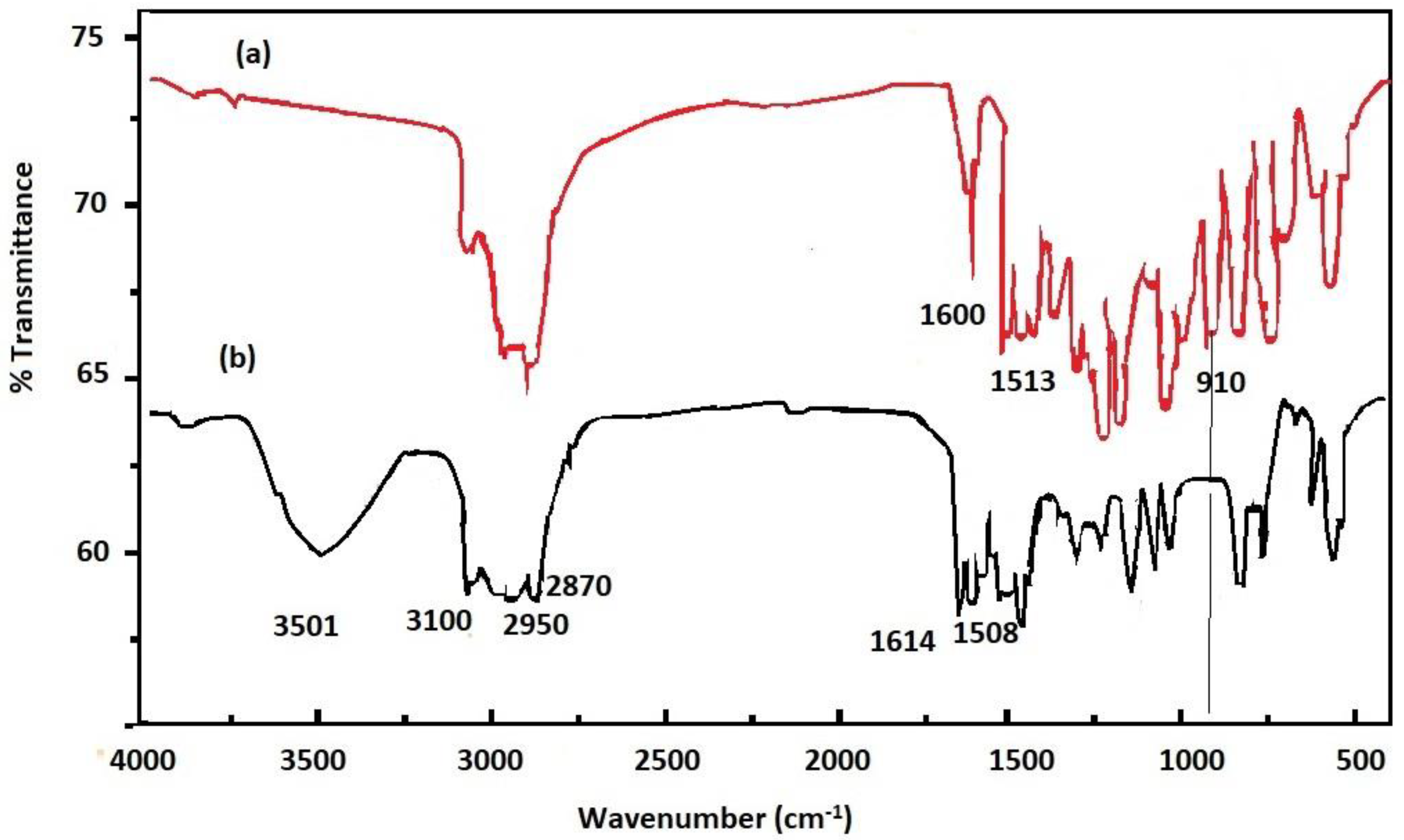 Coatings 10 01139 g007 Coatings 10 01139 g007