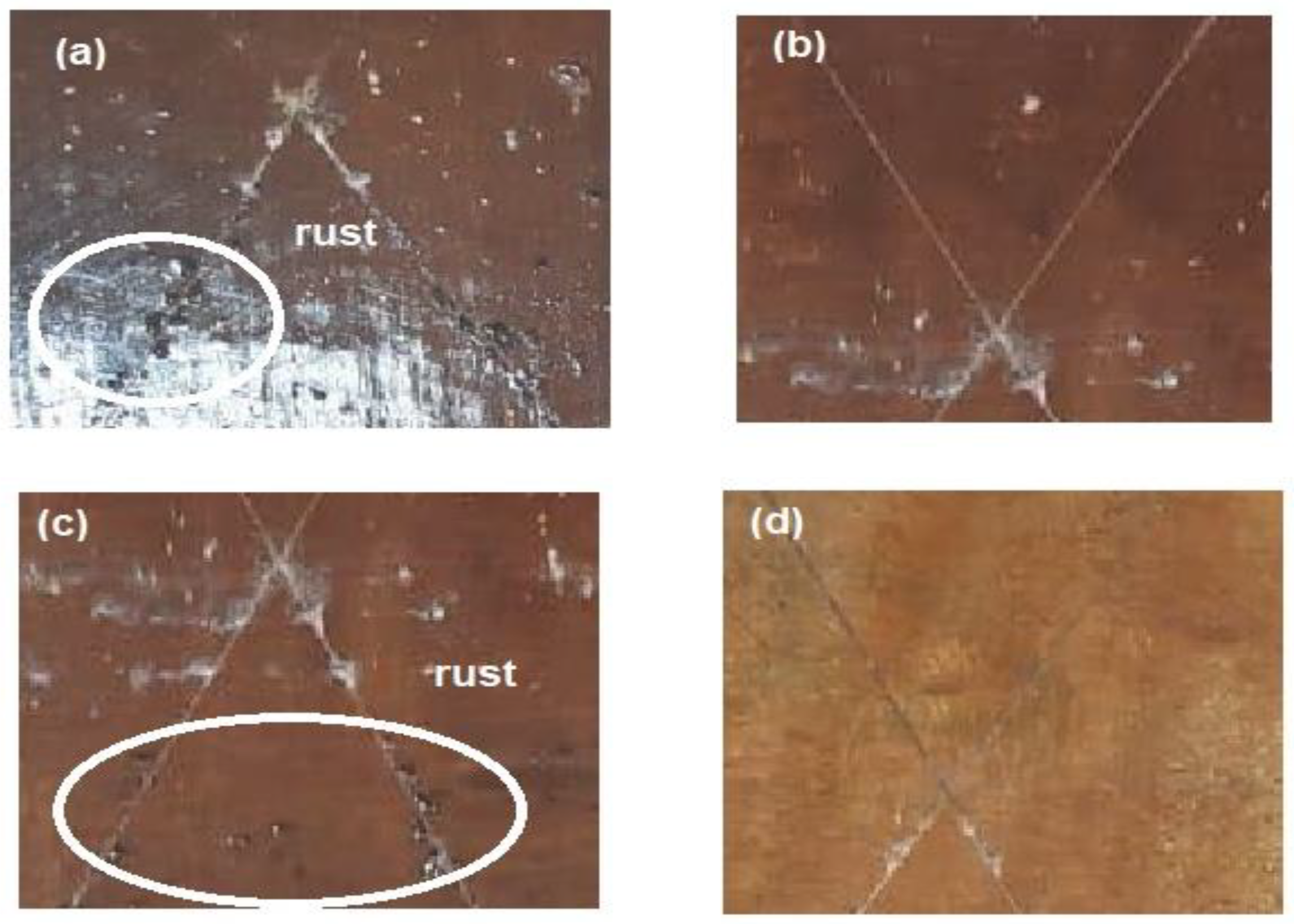 Coatings 10 01139 g011 Coatings 10 01139 g011
