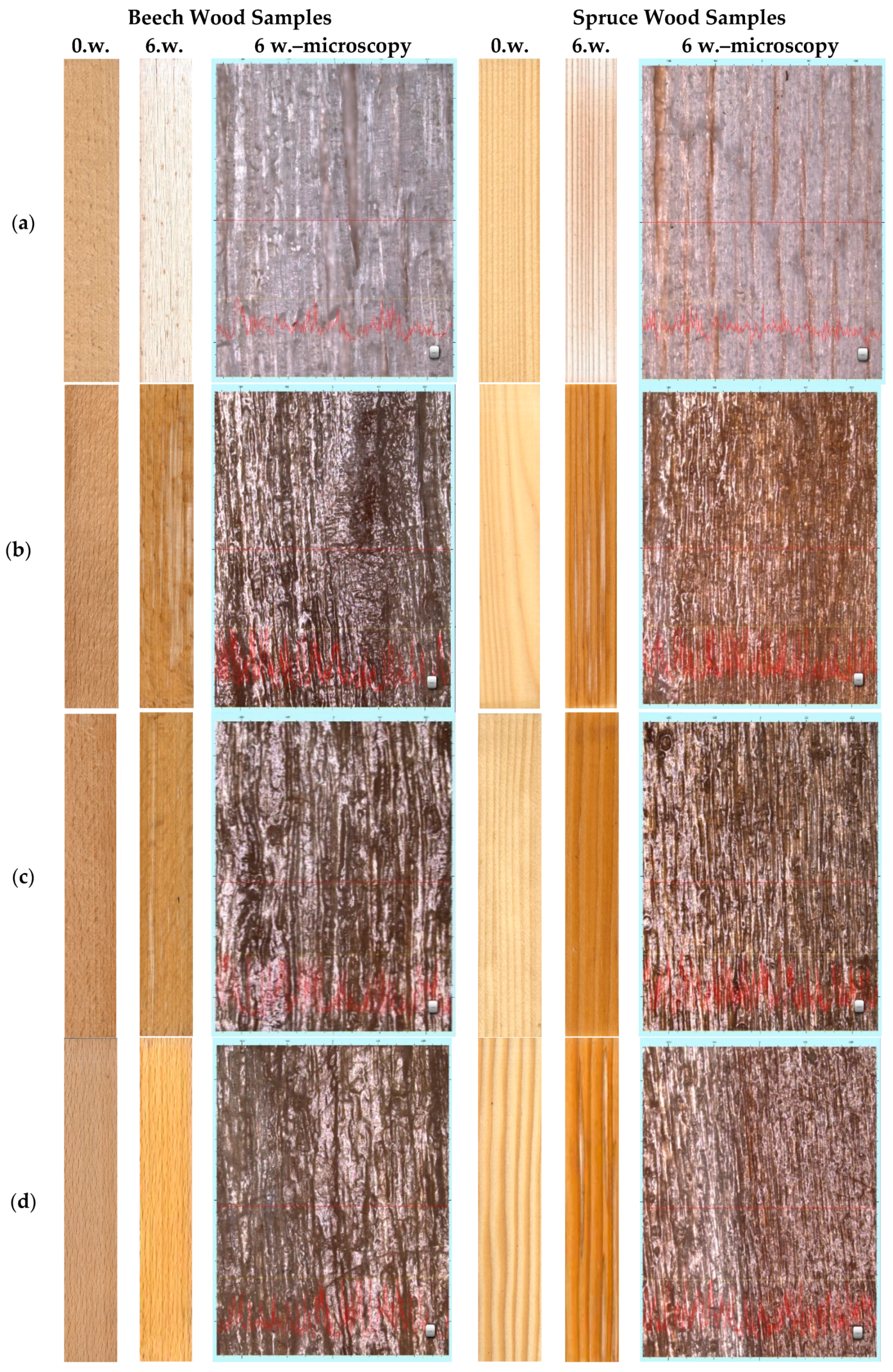 Coatings 10 01141 g001a Coatings 10 01141 g001a