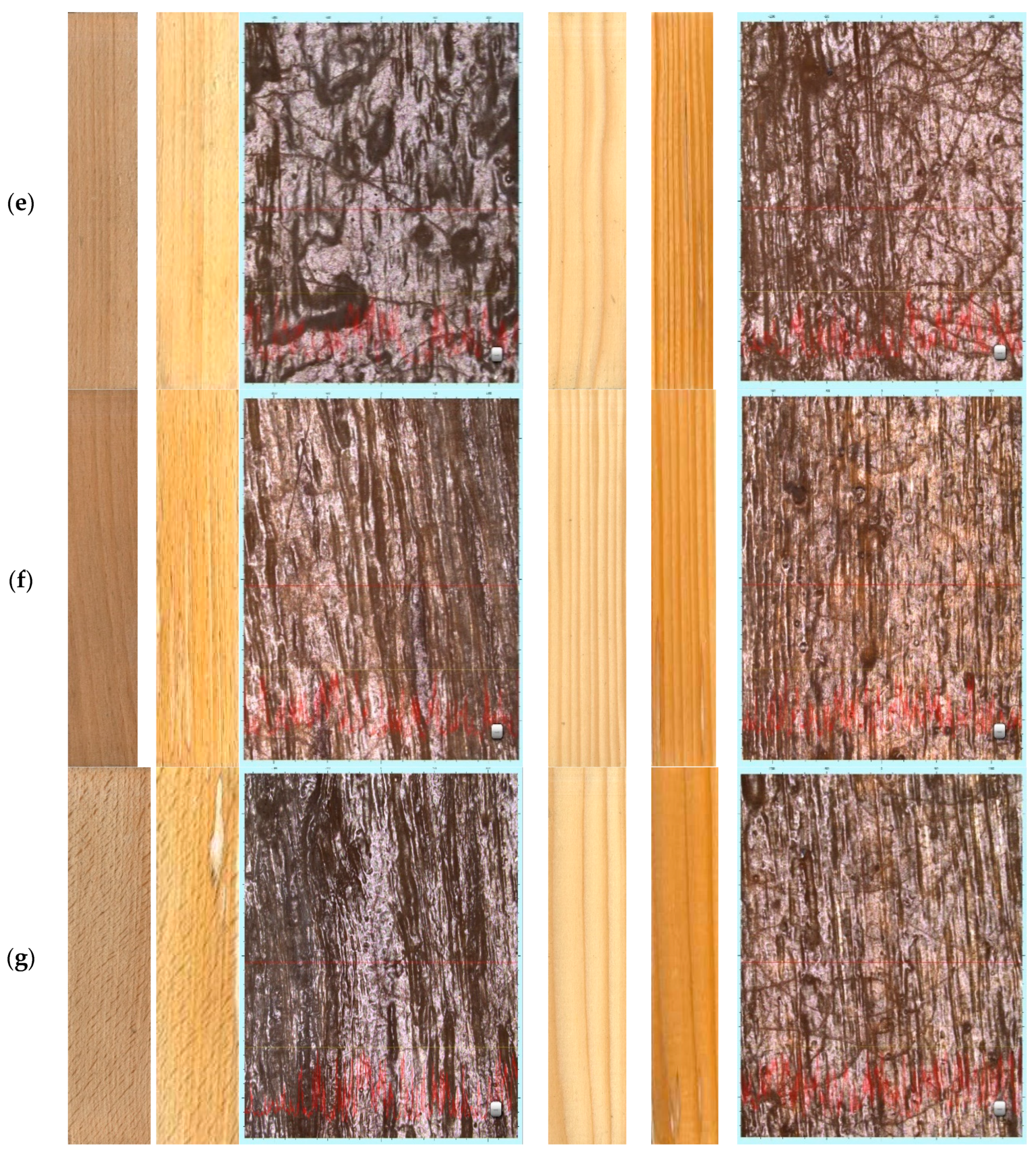 Coatings 10 01141 g001b Coatings 10 01141 g001b