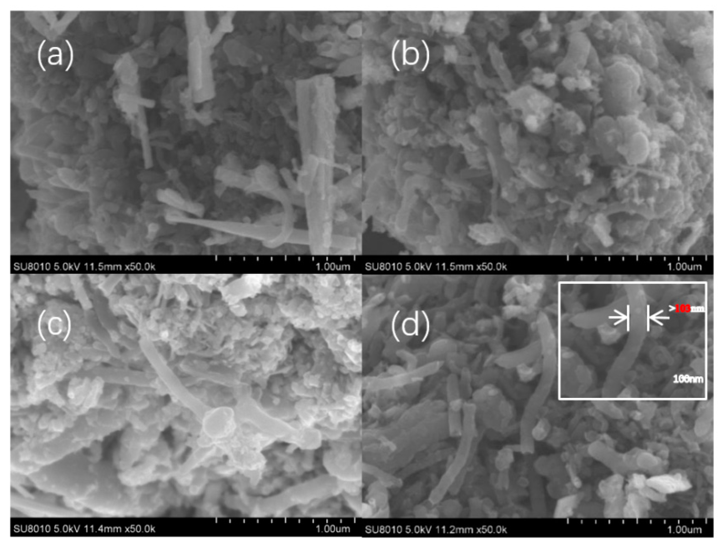 Coatings 10 01142 g003