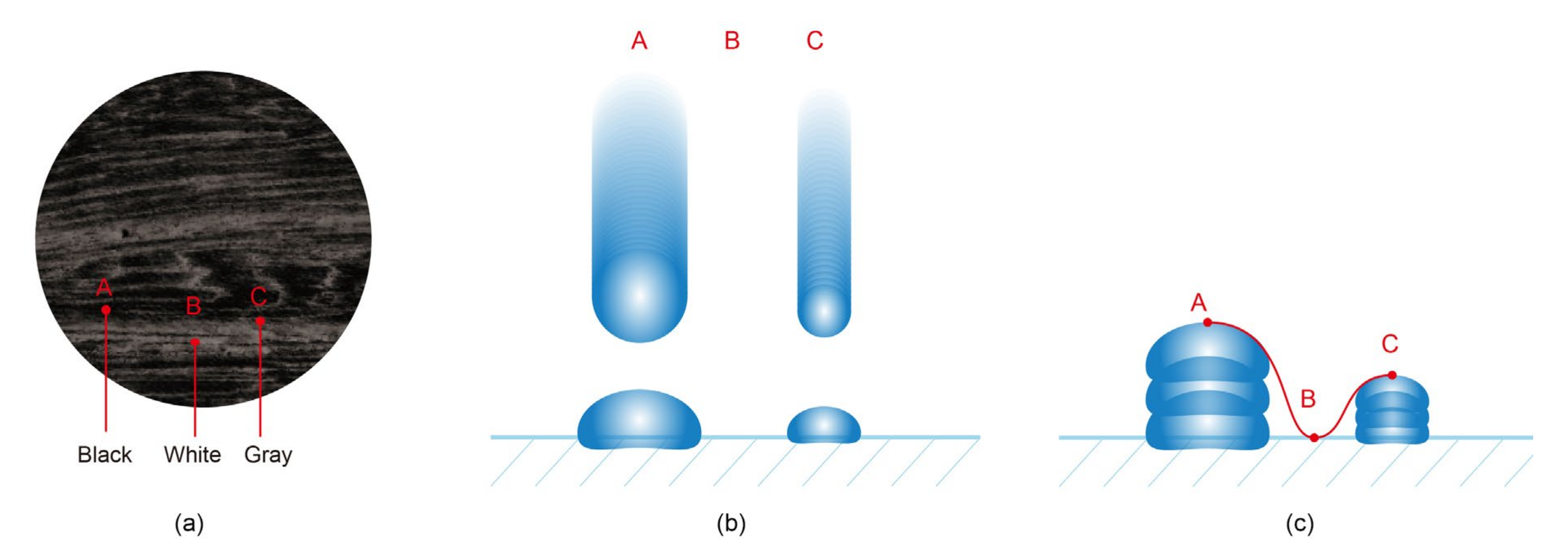 Coatings 10 01144 g006 Coatings 10 01144 g006