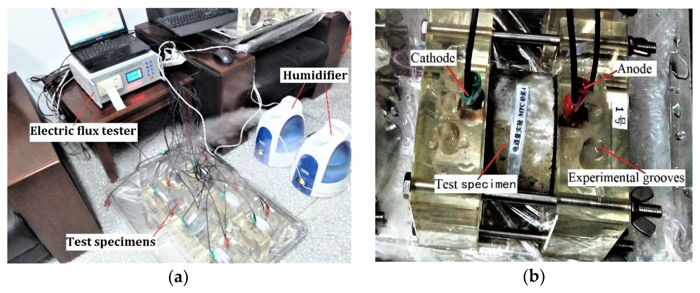 Coatings 10 01145 g002 Coatings 10 01145 g002
