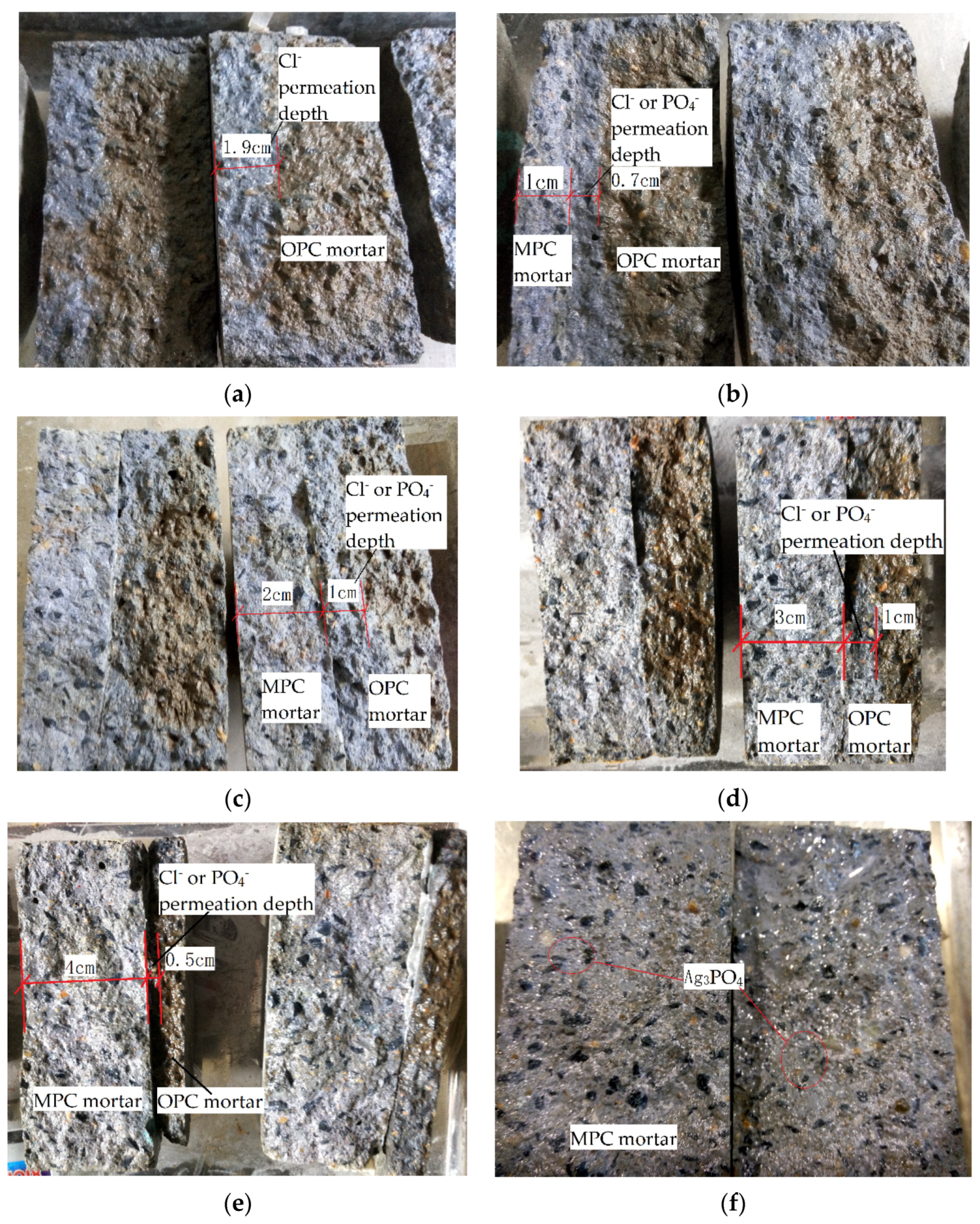 Coatings 10 01145 g012 Coatings 10 01145 g012
