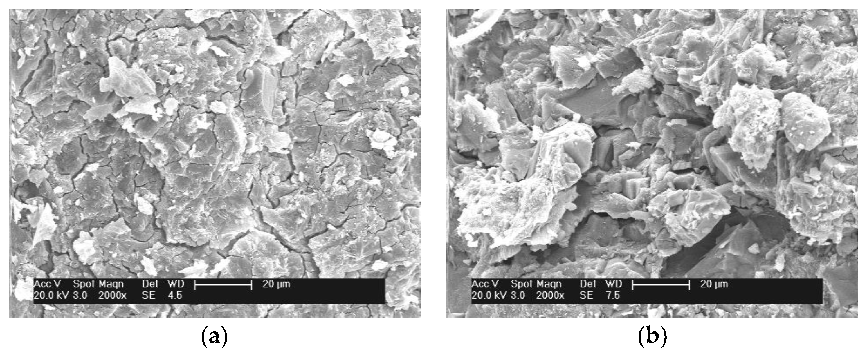 Coatings 10 01145 g016a Coatings 10 01145 g016a