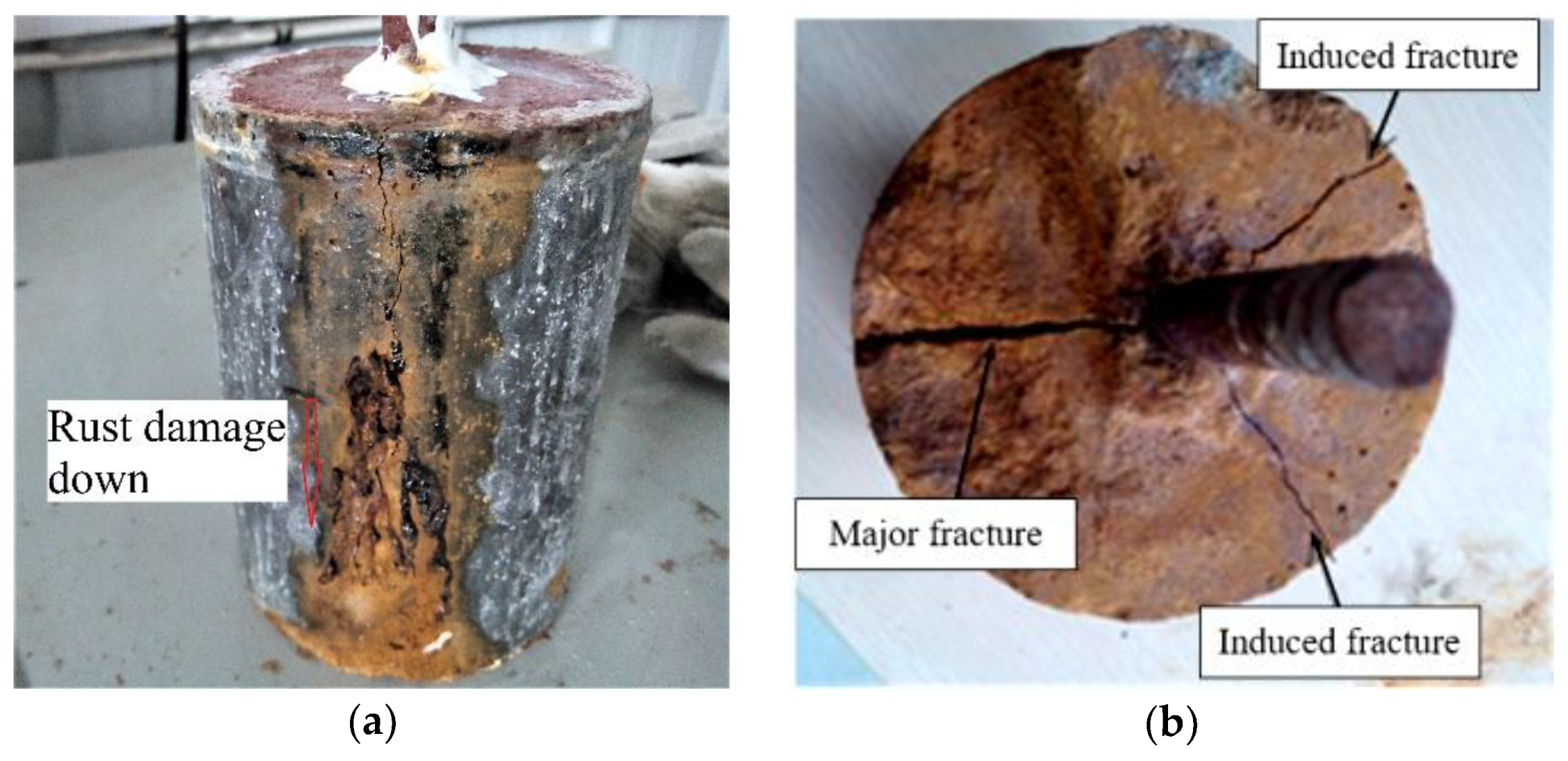 Coatings 10 01145 g023 Coatings 10 01145 g023