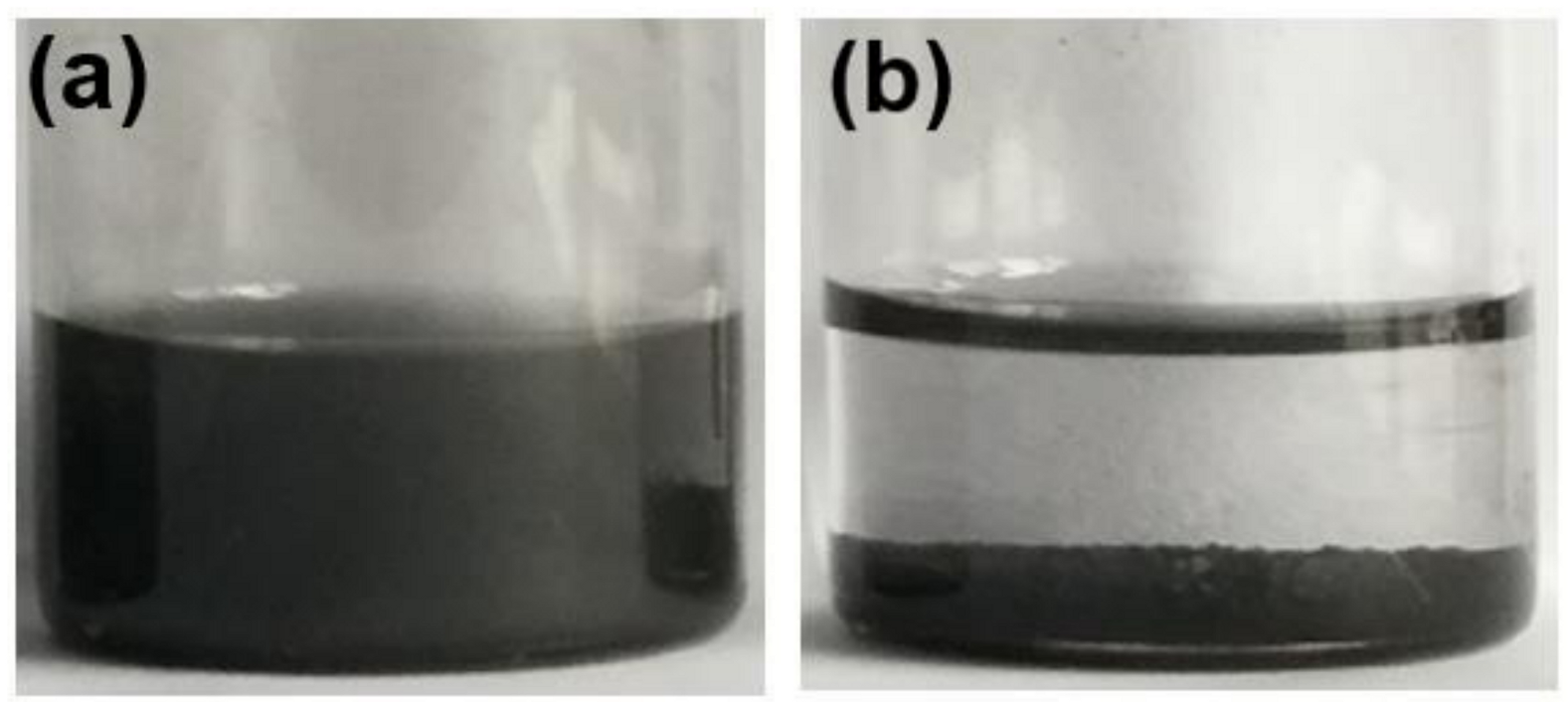 Coatings 10 01150 g005 Coatings 10 01150 g005