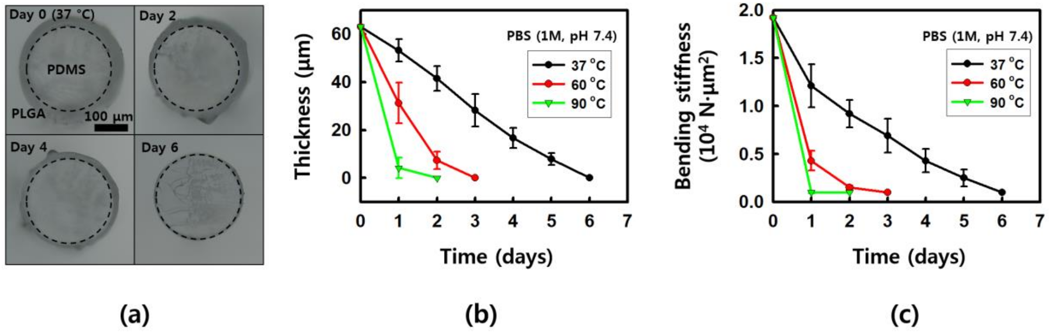 Coatings 10 01153 g004