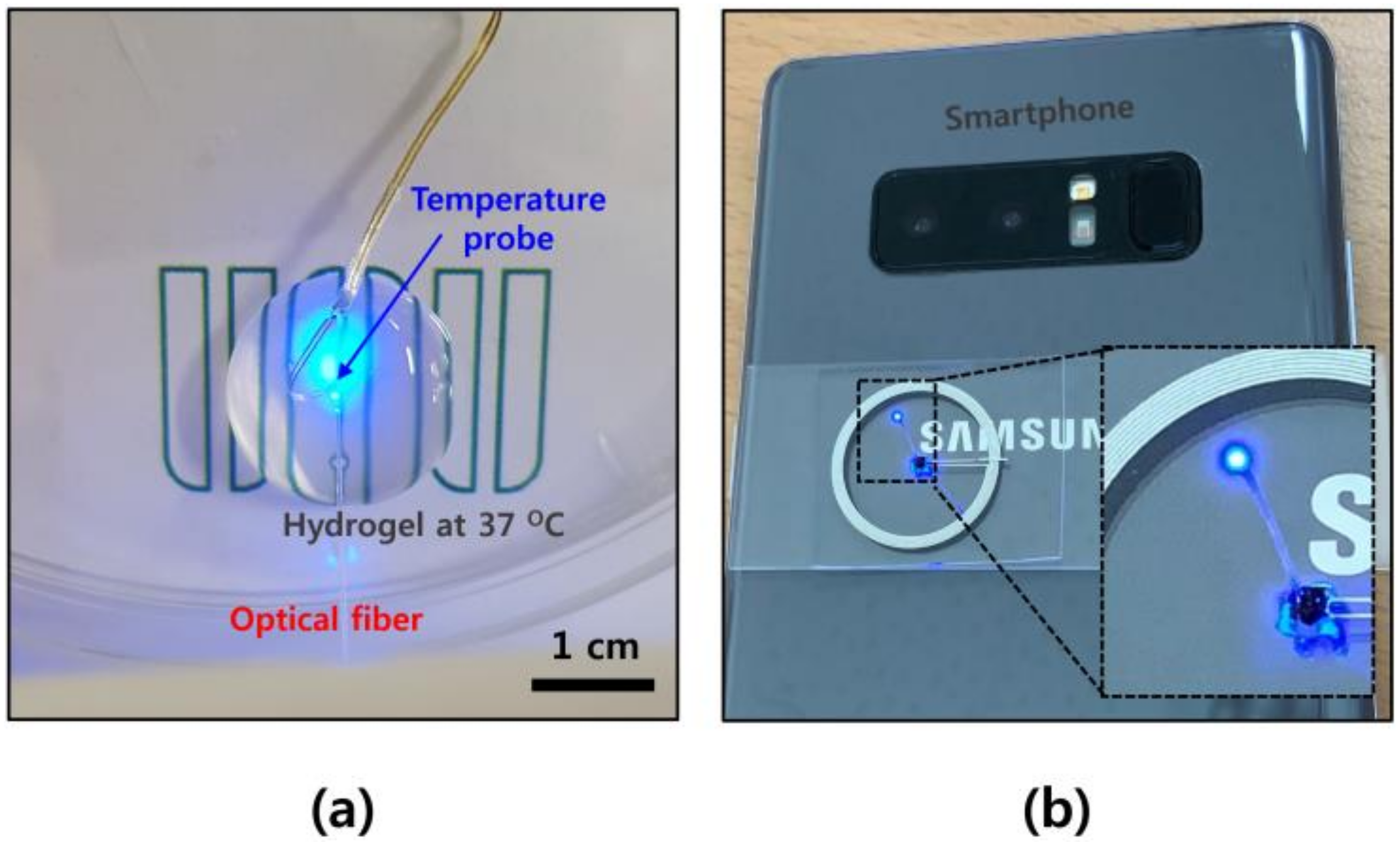 Coatings 10 01153 g006