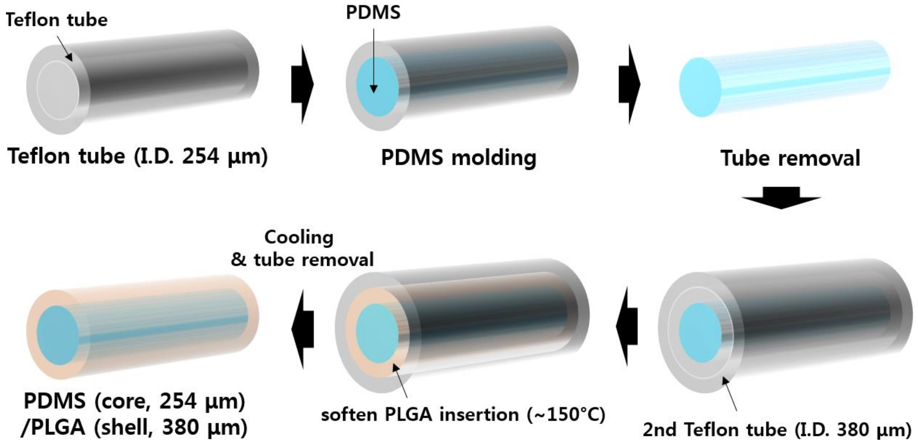 Coatings Free FullText Biodegradable Optical Fiber in a Soft
