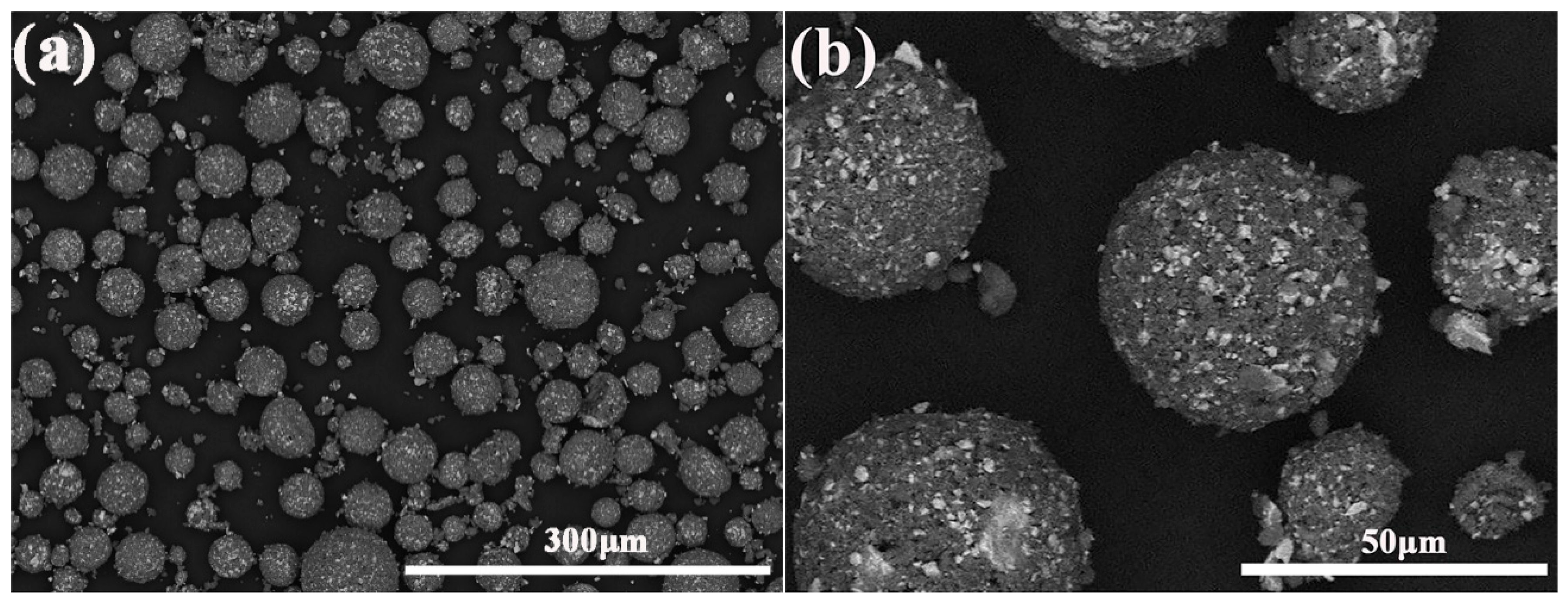 Coatings 10 01158 g001 Coatings 10 01158 g001