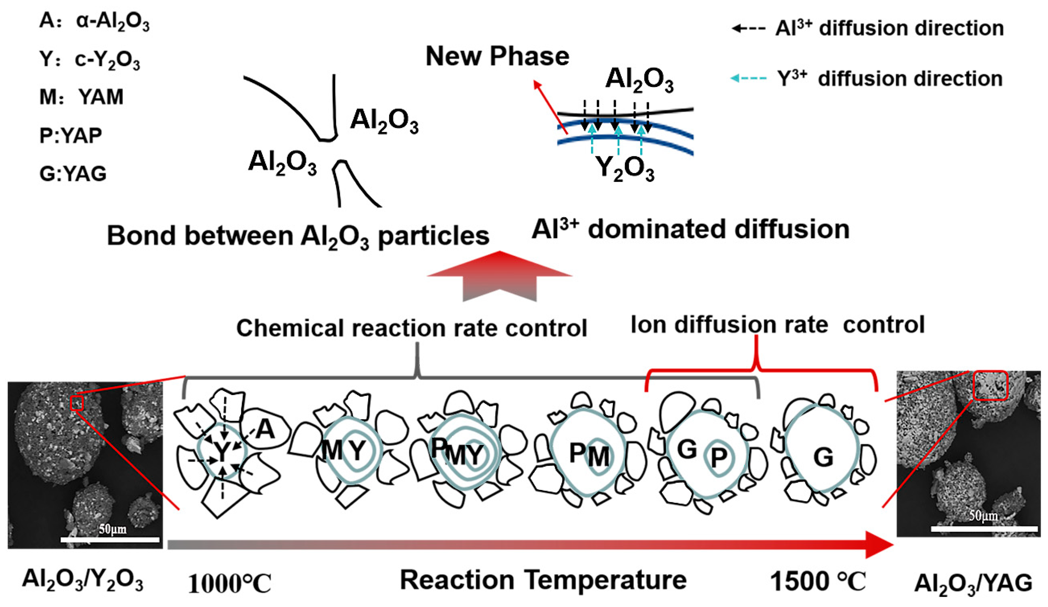 Coatings 10 01158 g007 Coatings 10 01158 g007