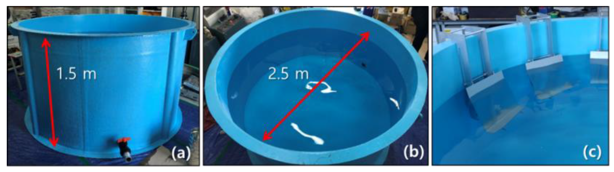 Coatings 10 01159 g002 Coatings 10 01159 g002