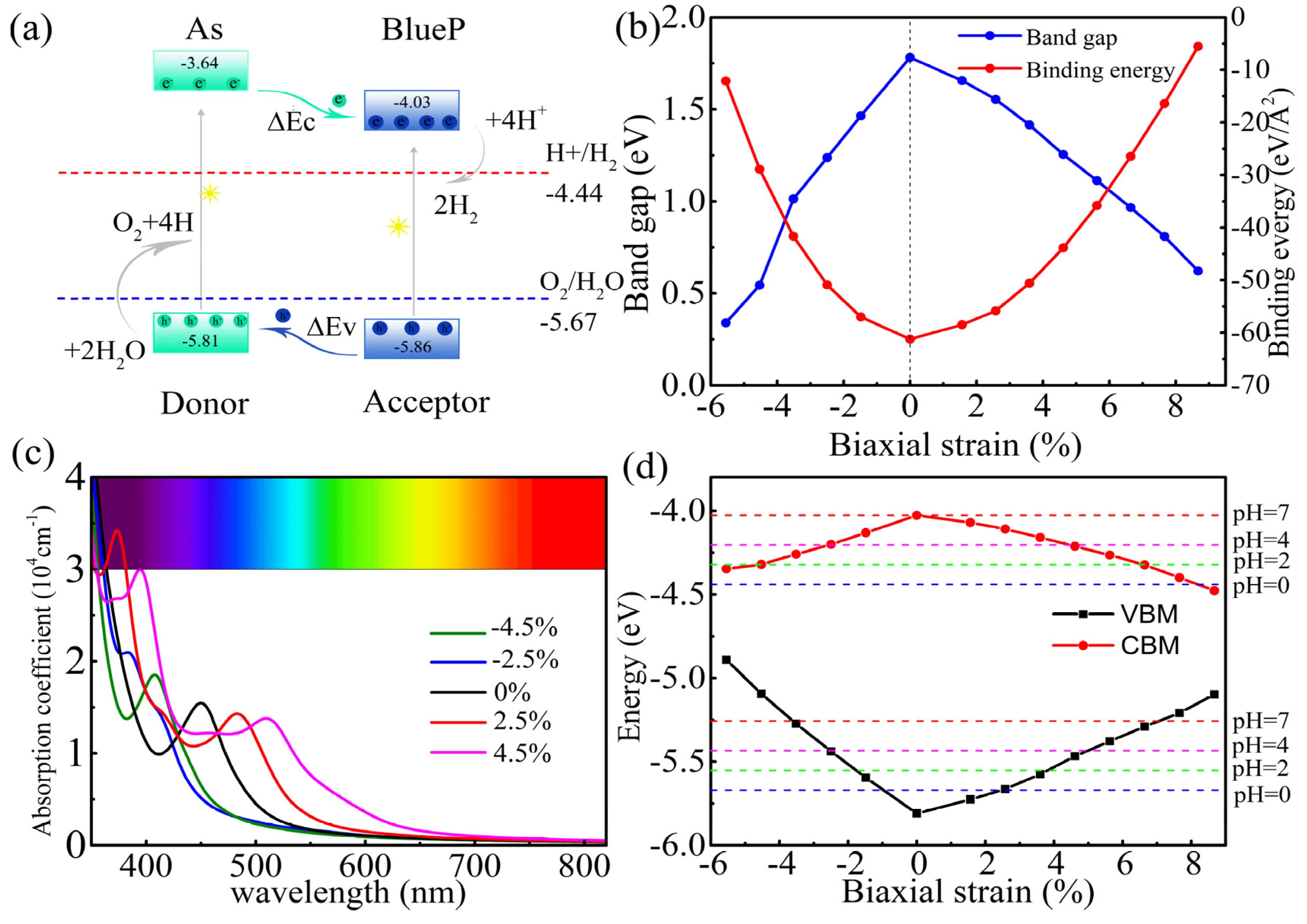 Coatings 10 01160 g005 Coatings 10 01160 g005