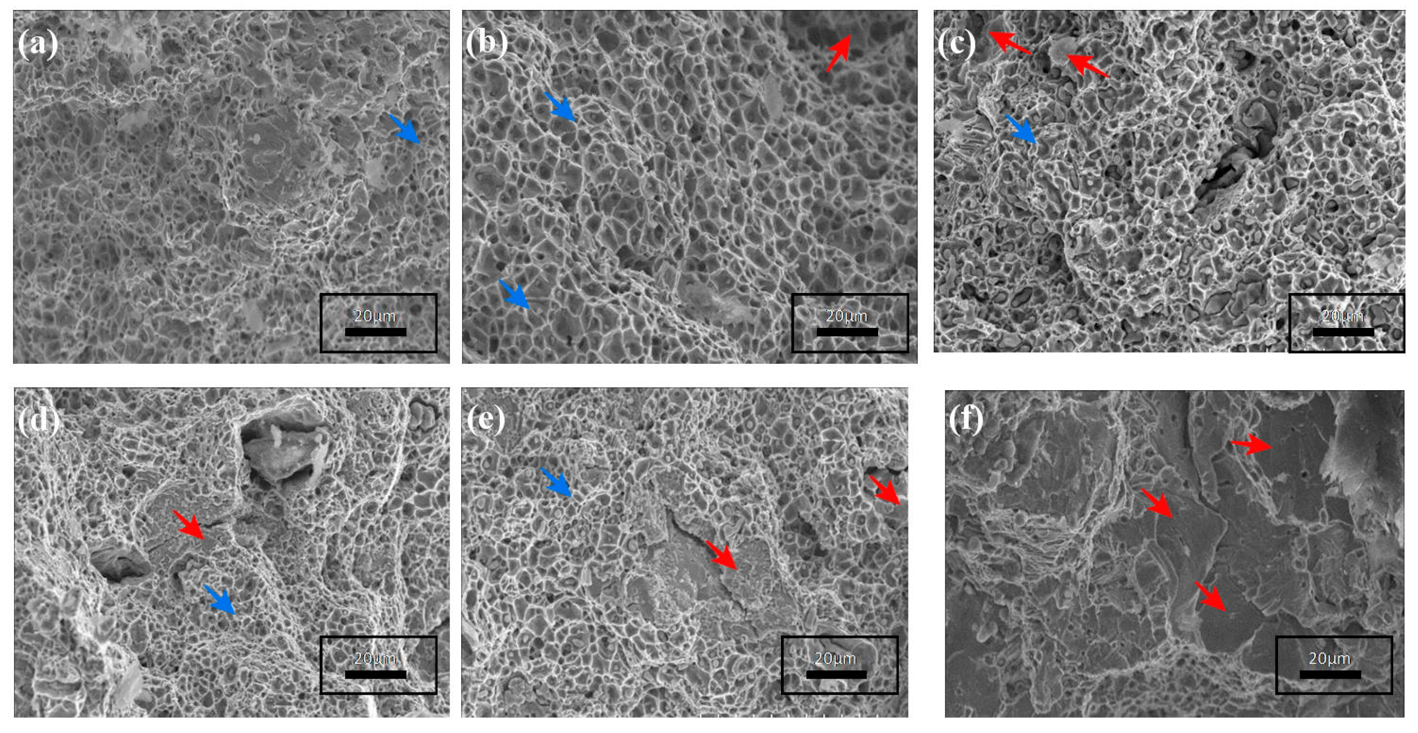 Coatings 10 01166 g004 Coatings 10 01166 g004