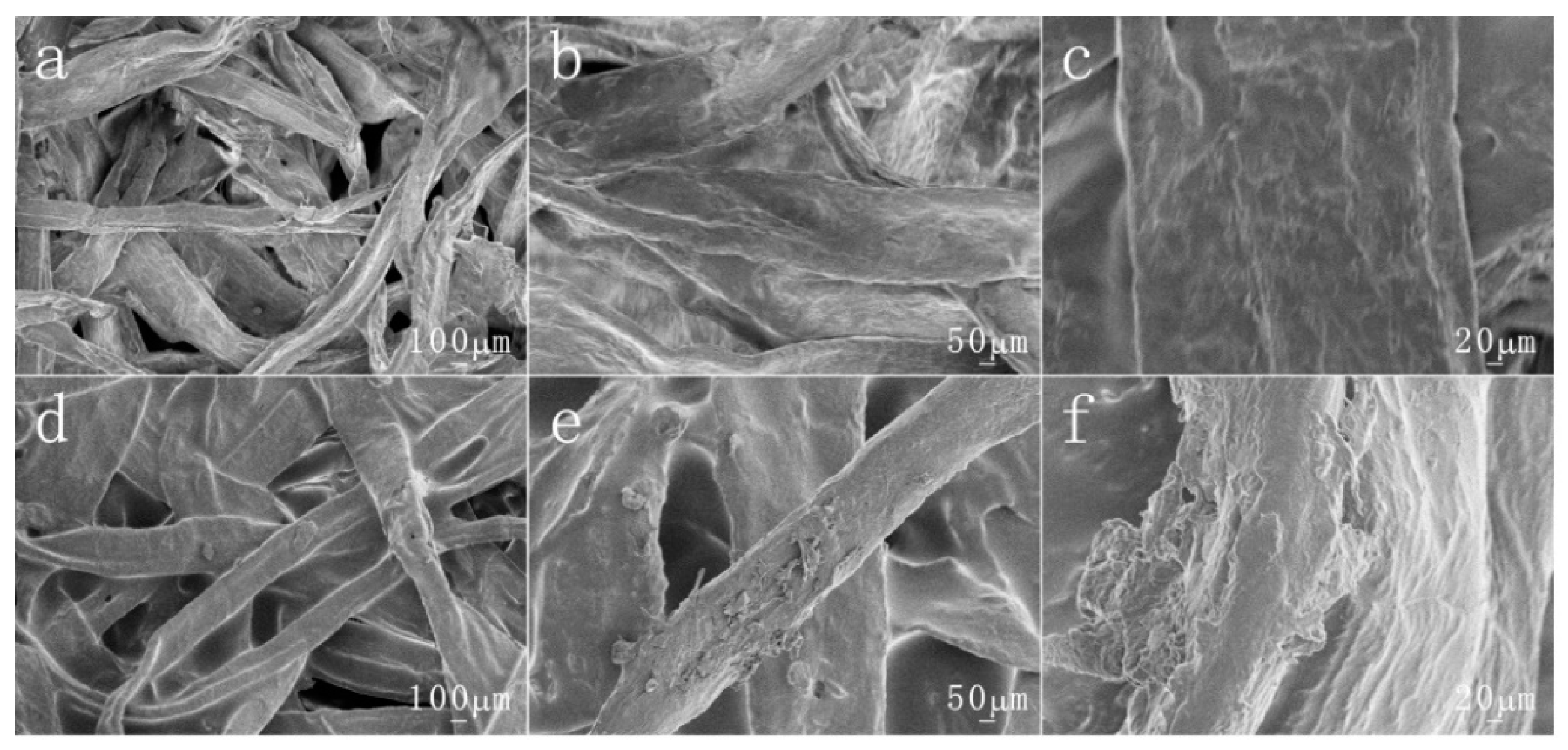 Coatings 10 01167 g004 Coatings 10 01167 g004