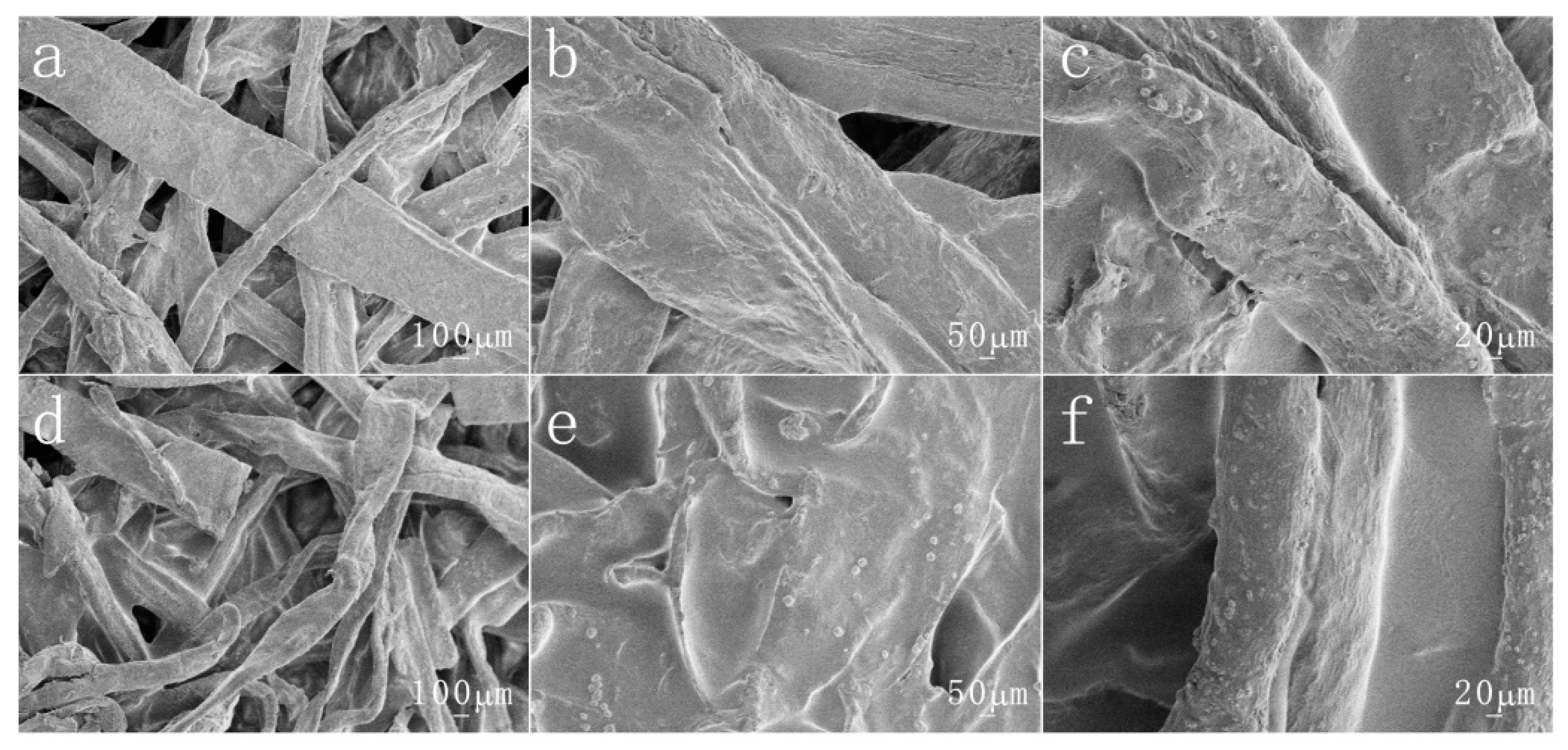 Coatings 10 01167 g006 Coatings 10 01167 g006