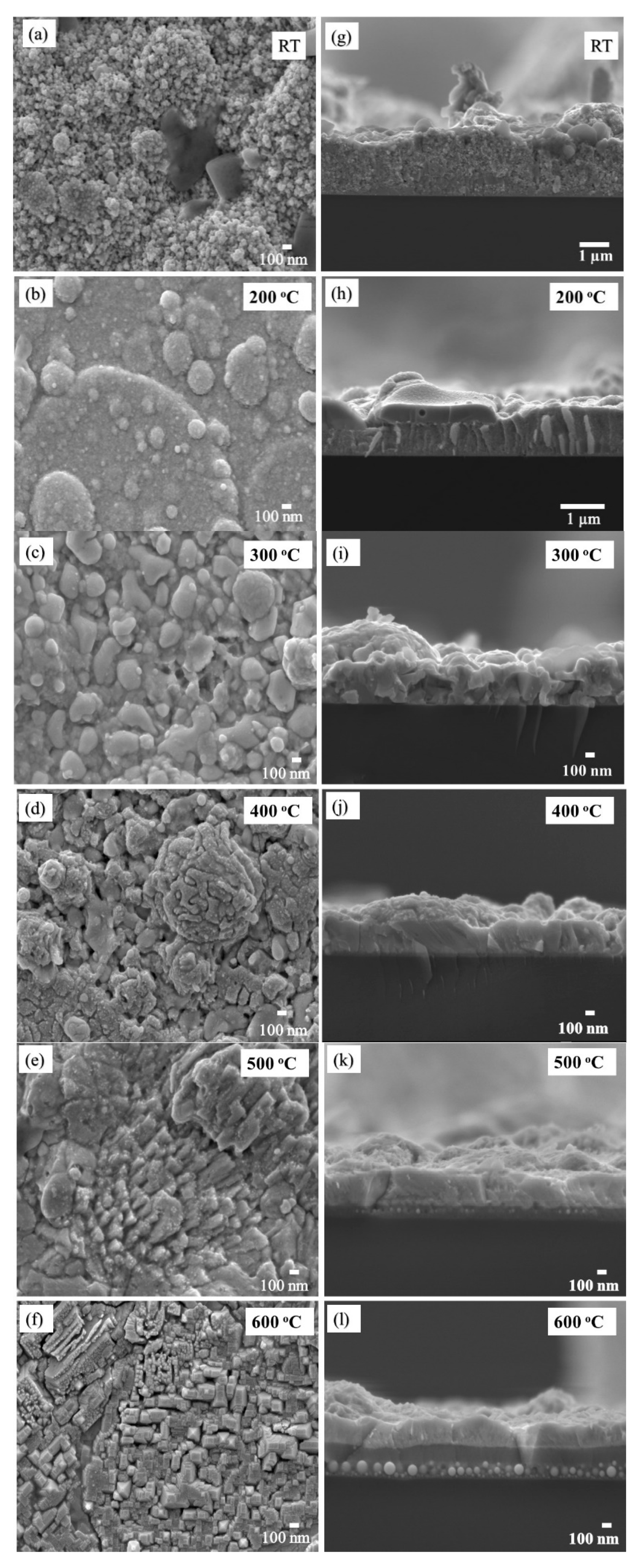 Coatings 10 01168 g003