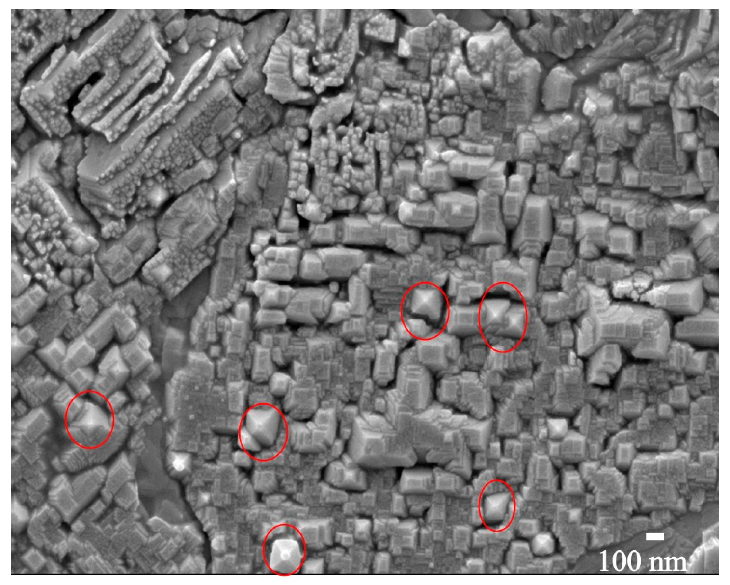 Coatings 10 01168 g004