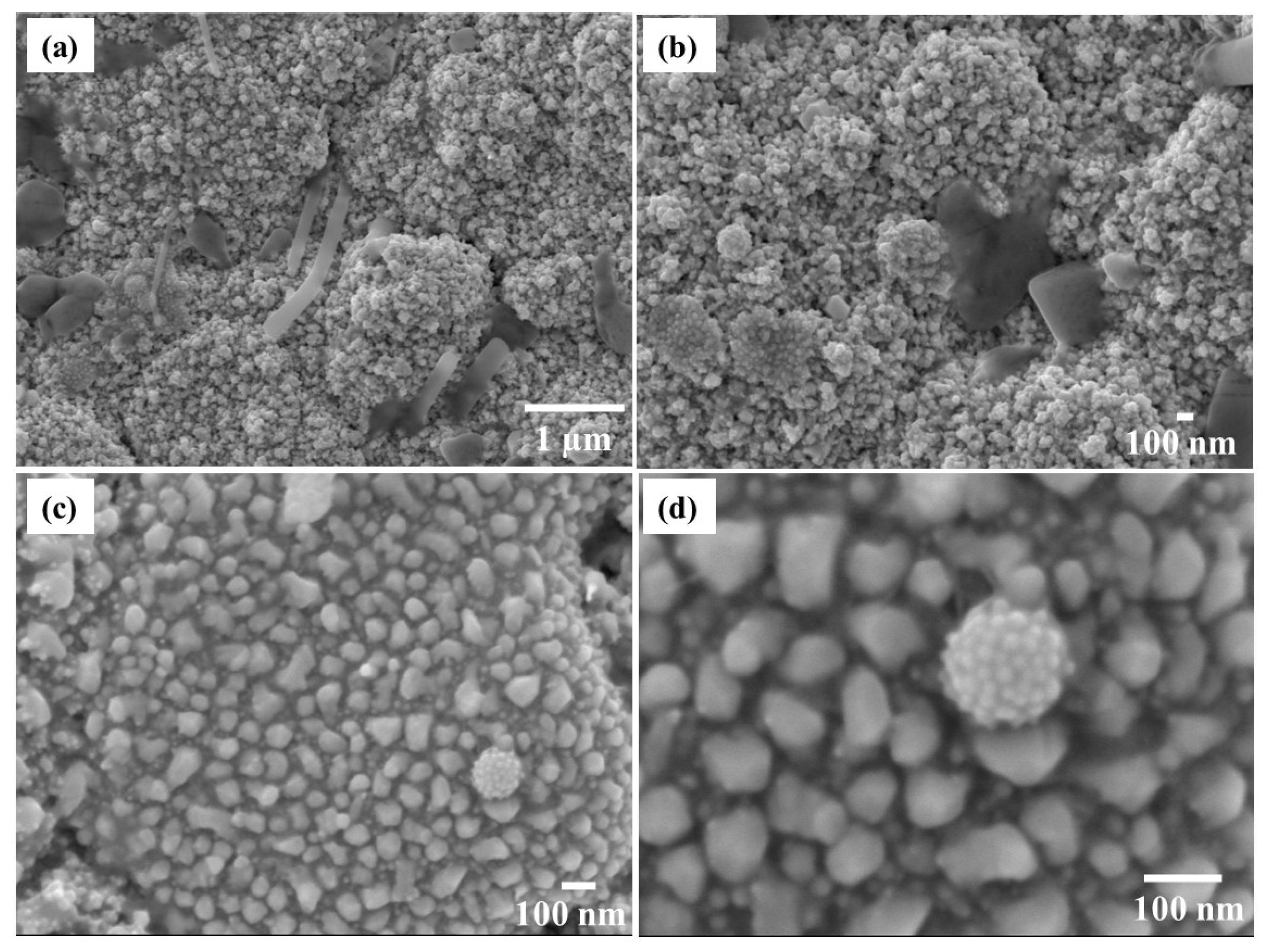 Coatings 10 01168 g005