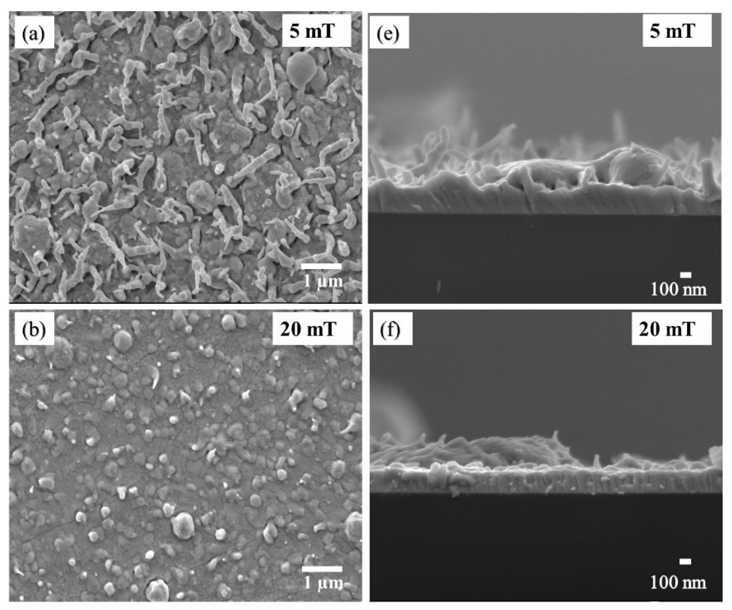 Coatings 10 01168 g008a