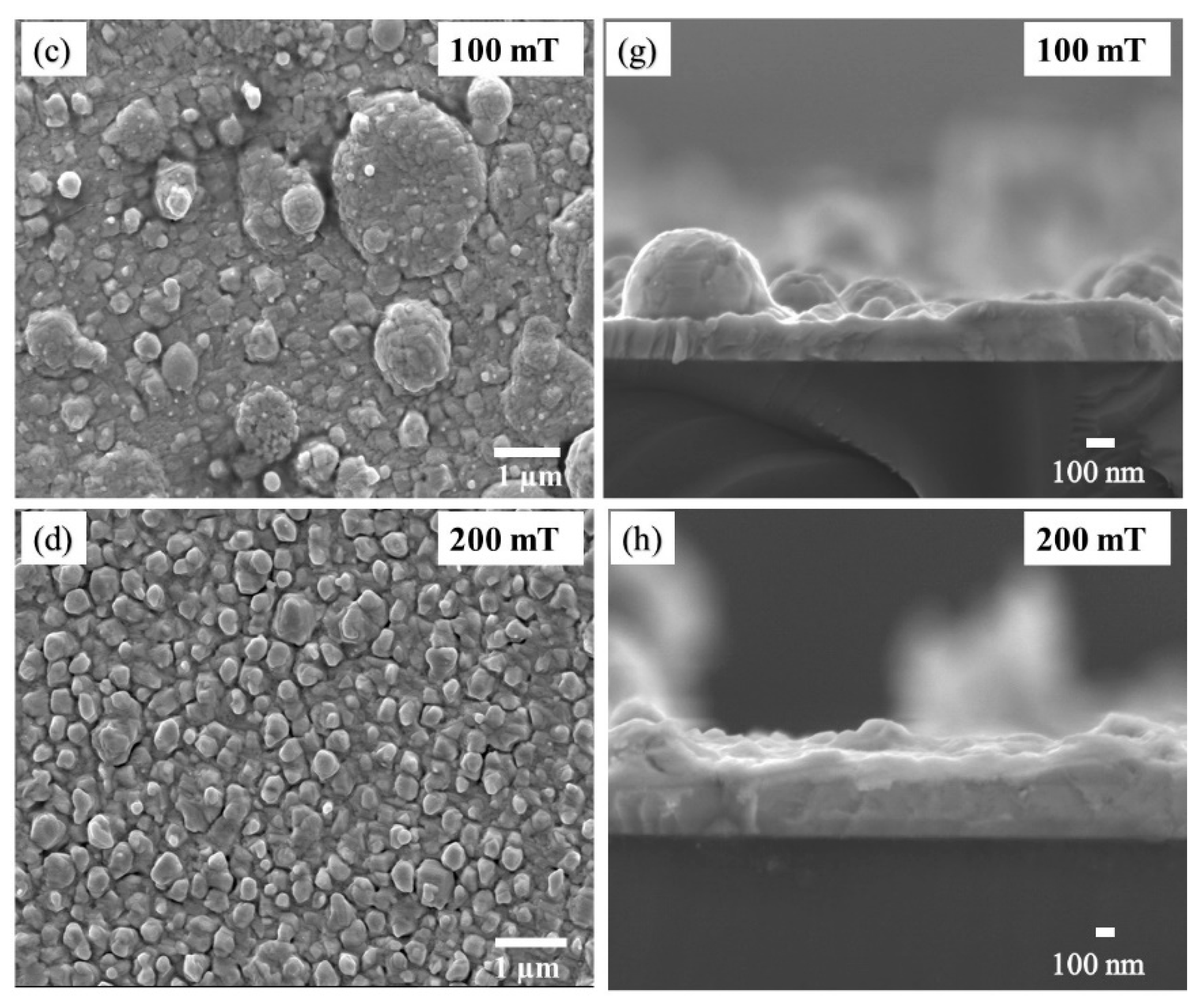 Coatings 10 01168 g008b