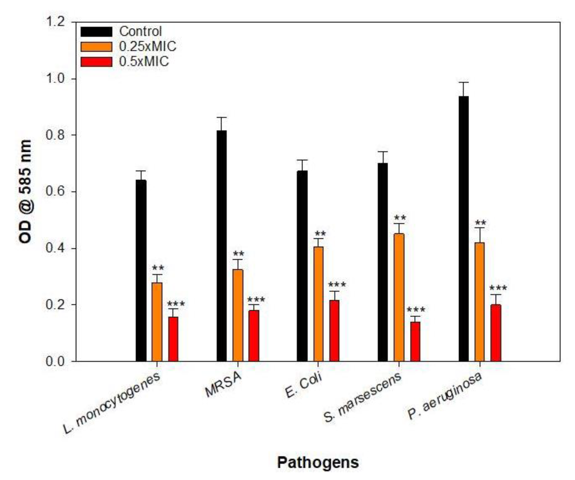 Coatings 10 01171 g004 Coatings 10 01171 g004