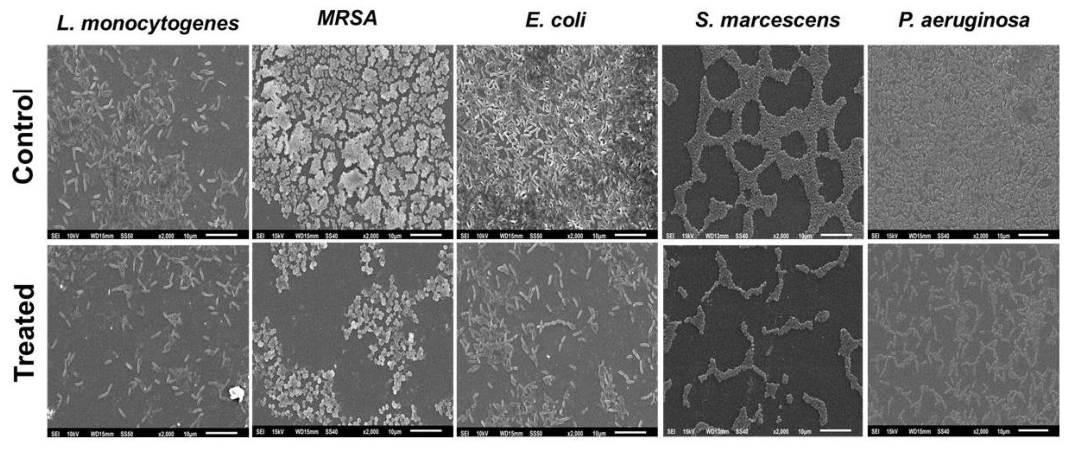 Coatings 10 01171 g005 Coatings 10 01171 g005