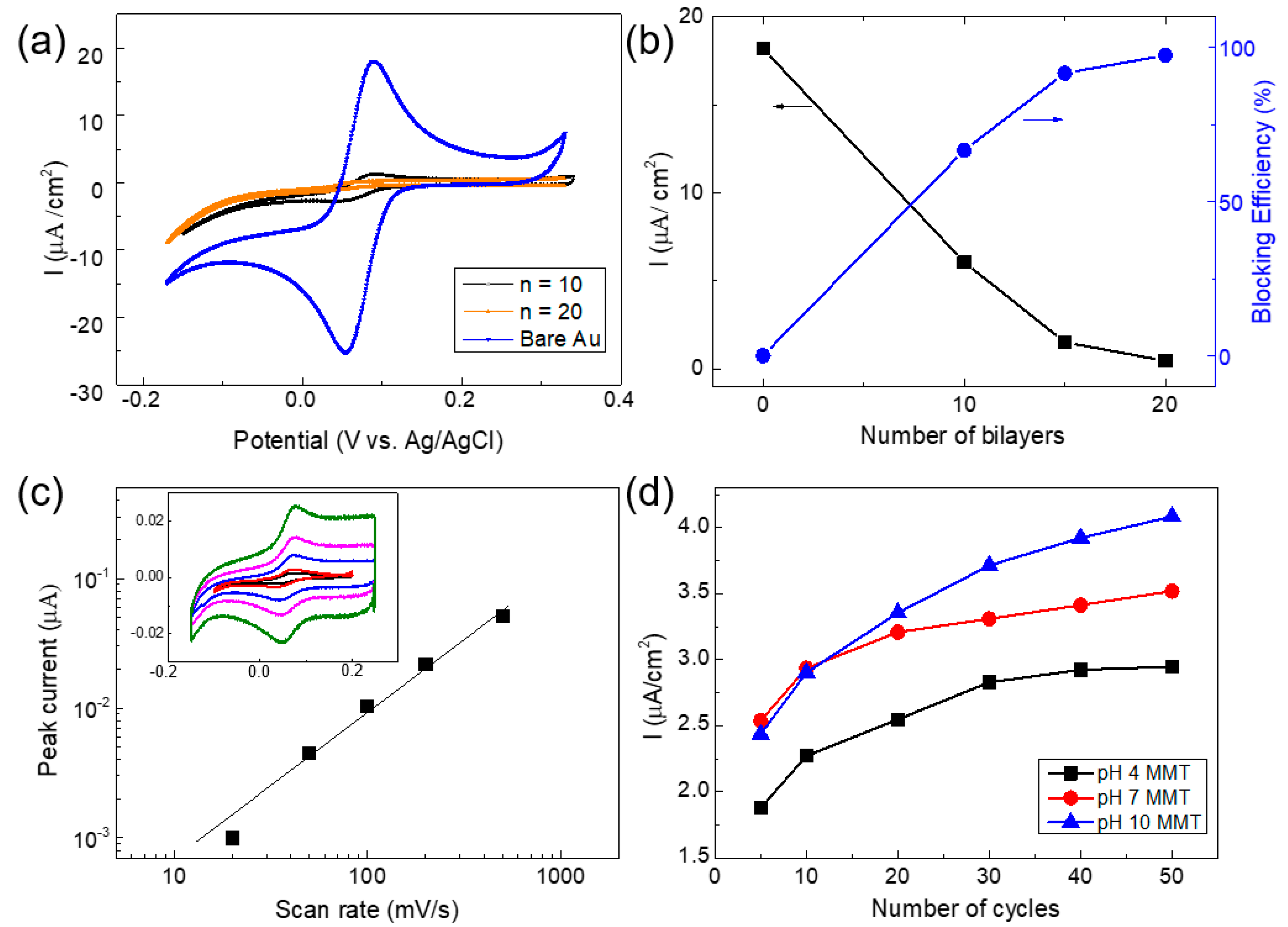 Coatings 10 01173 g003