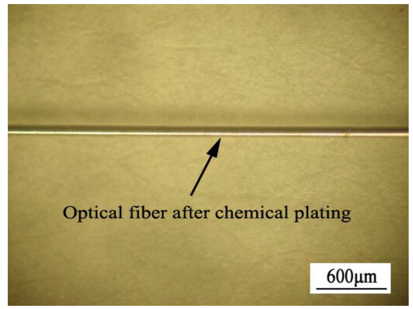 Coatings 10 01174 g002
