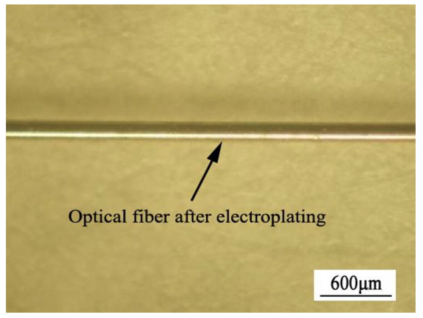 Coatings 10 01174 g003