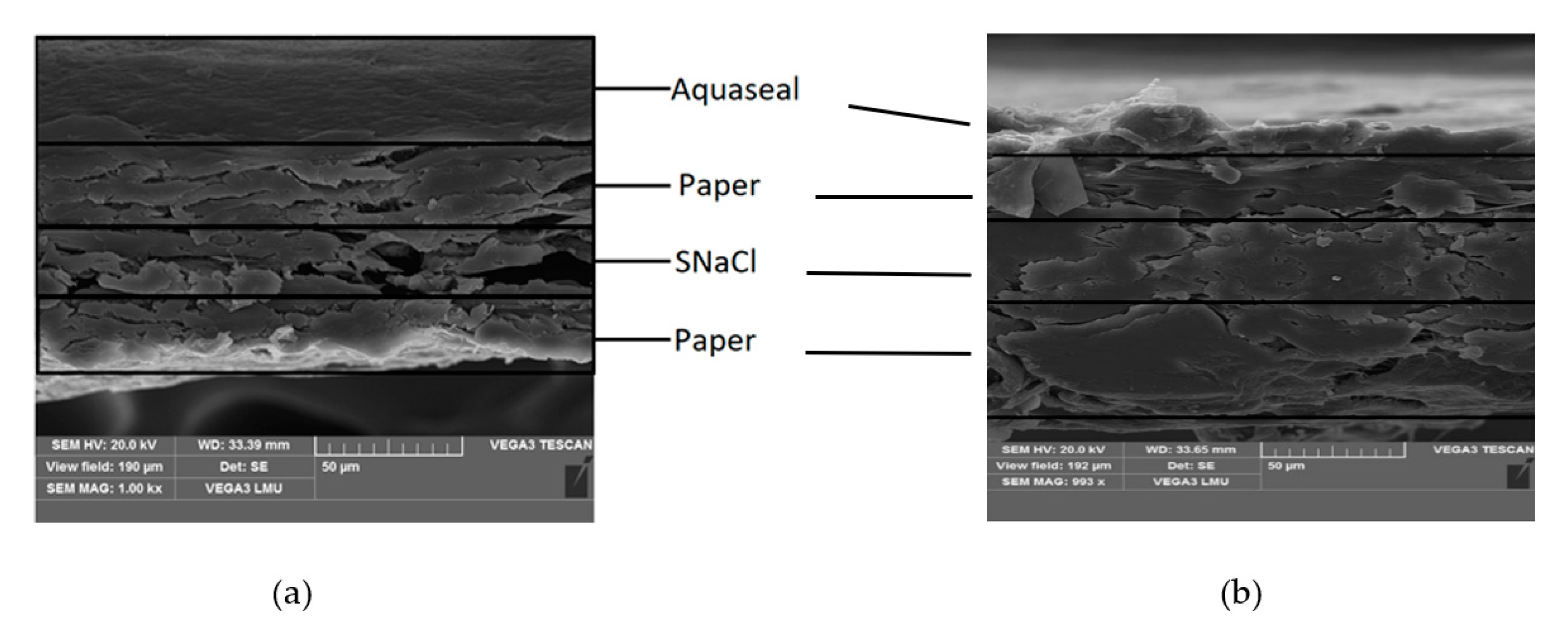 Coatings 10 01175 g002
