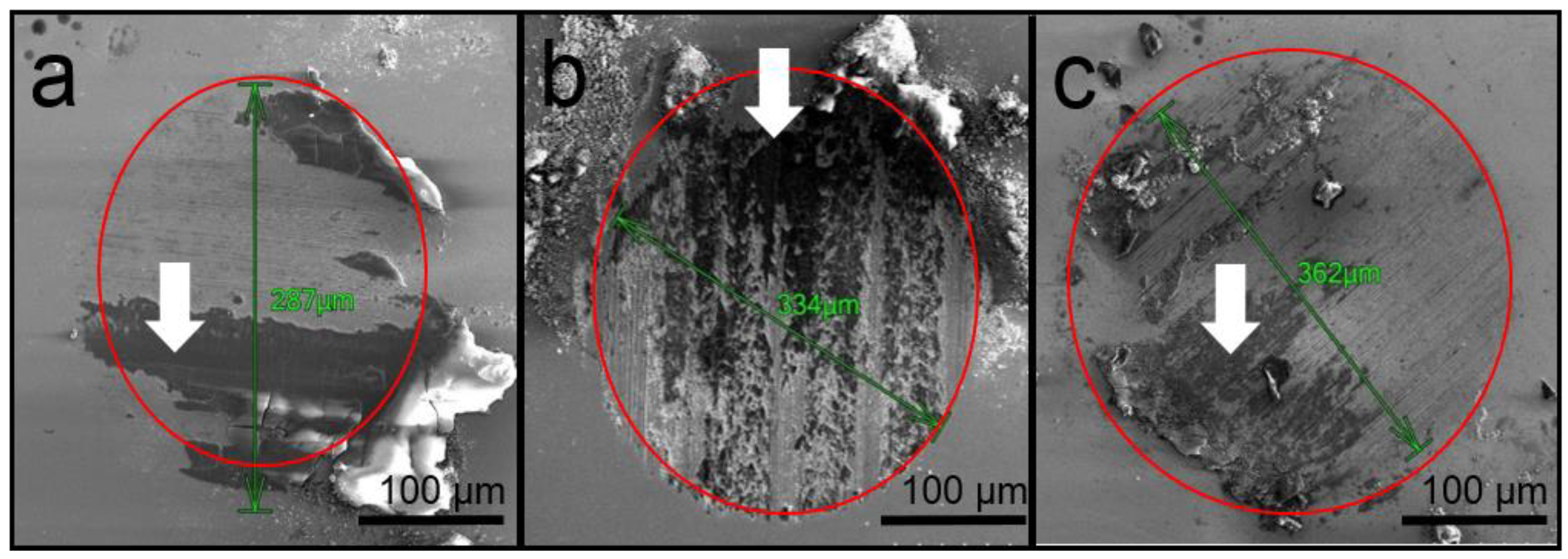 Coatings 10 01176 g006 Coatings 10 01176 g006