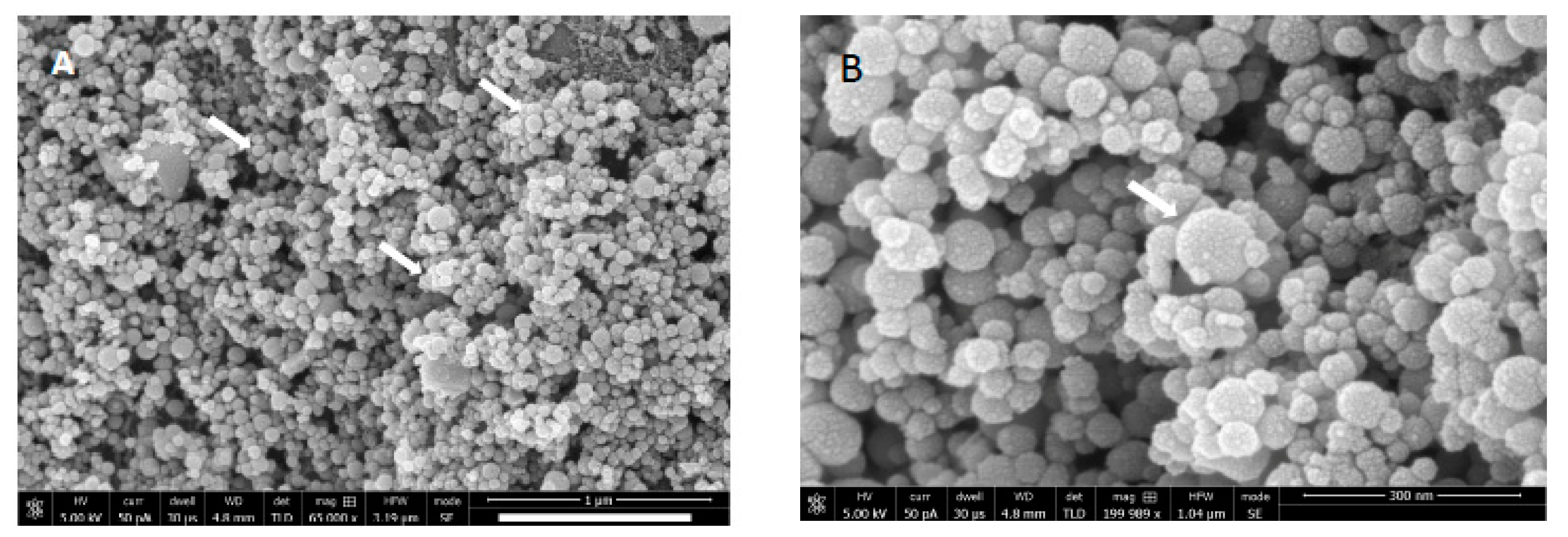 Coatings 10 01181 g001