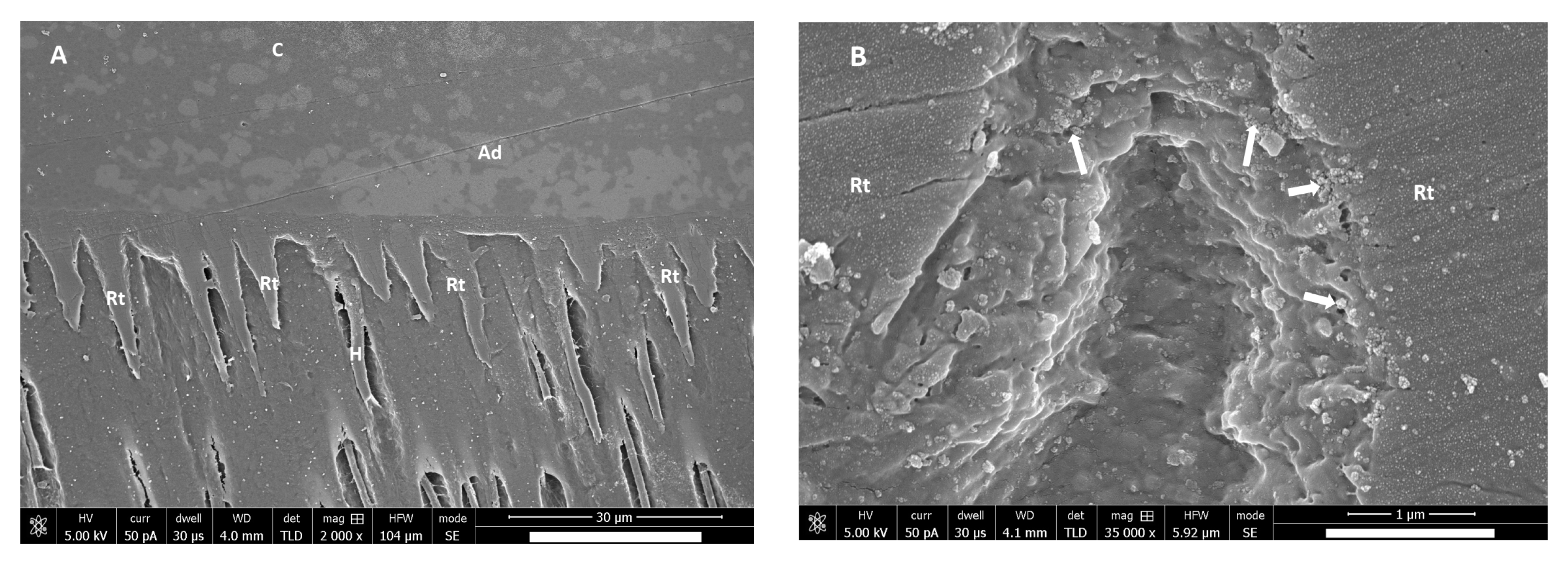 Coatings 10 01181 g005