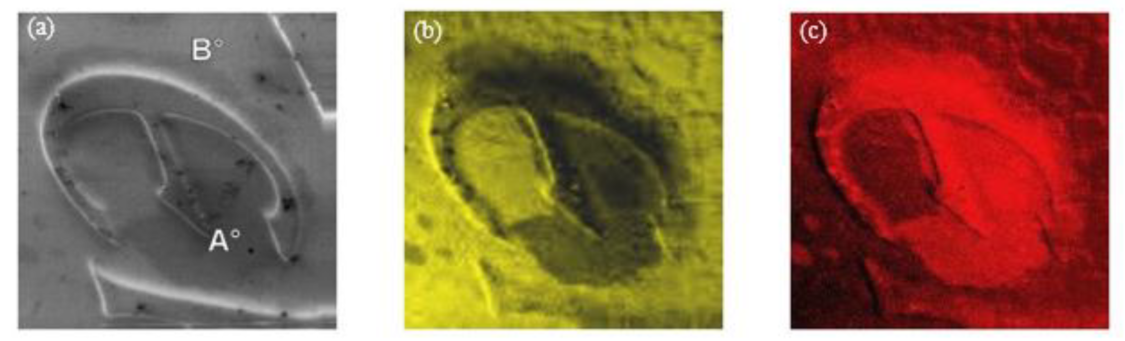 Coatings 10 01182 g004a